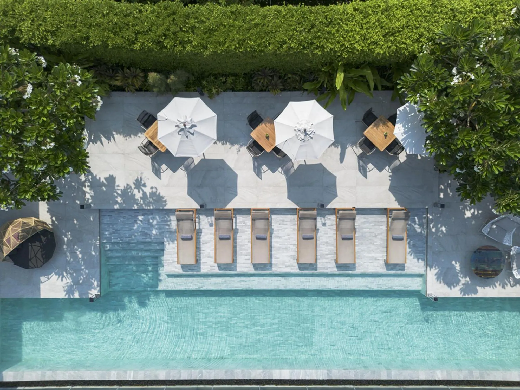 Garden in Ad Lib Hotel Bangkok