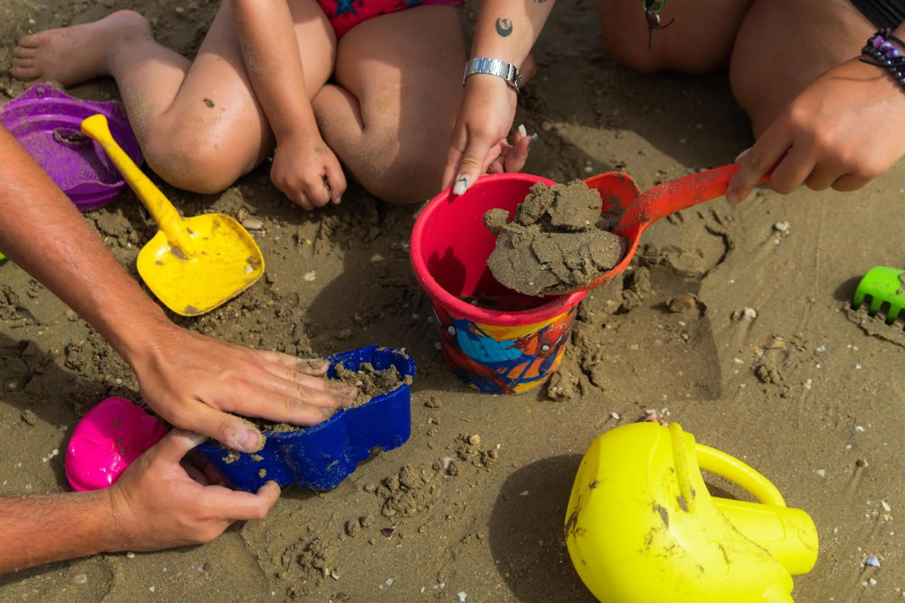 Beach in Hotel Felicioni
