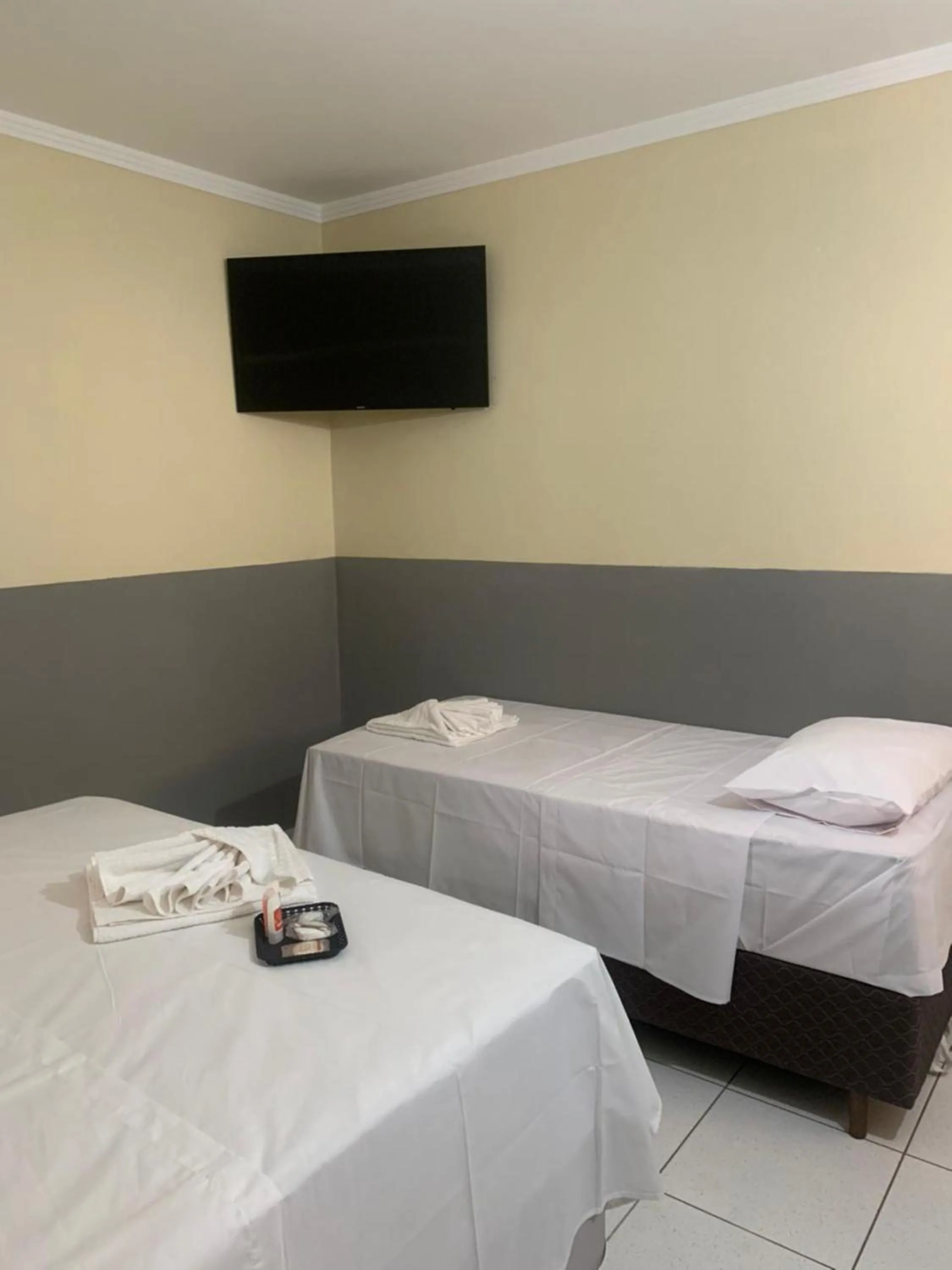 TV and multimedia, Bed in Hotel Barão Ribeirão