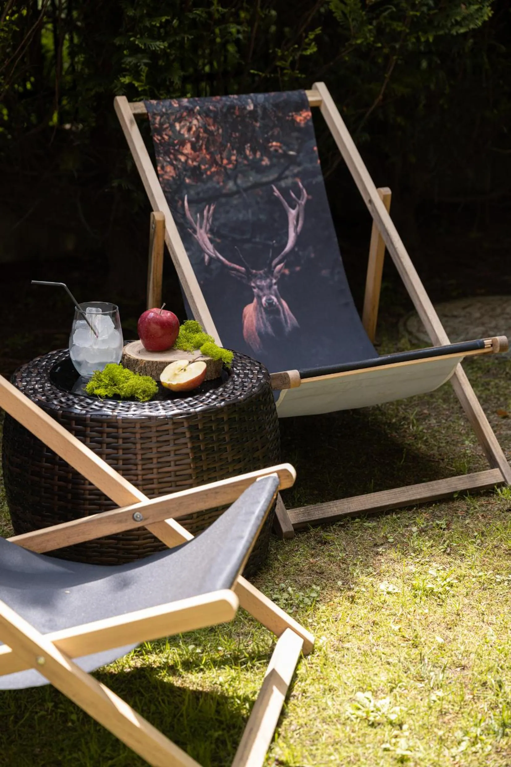 Garden in Willa Bór