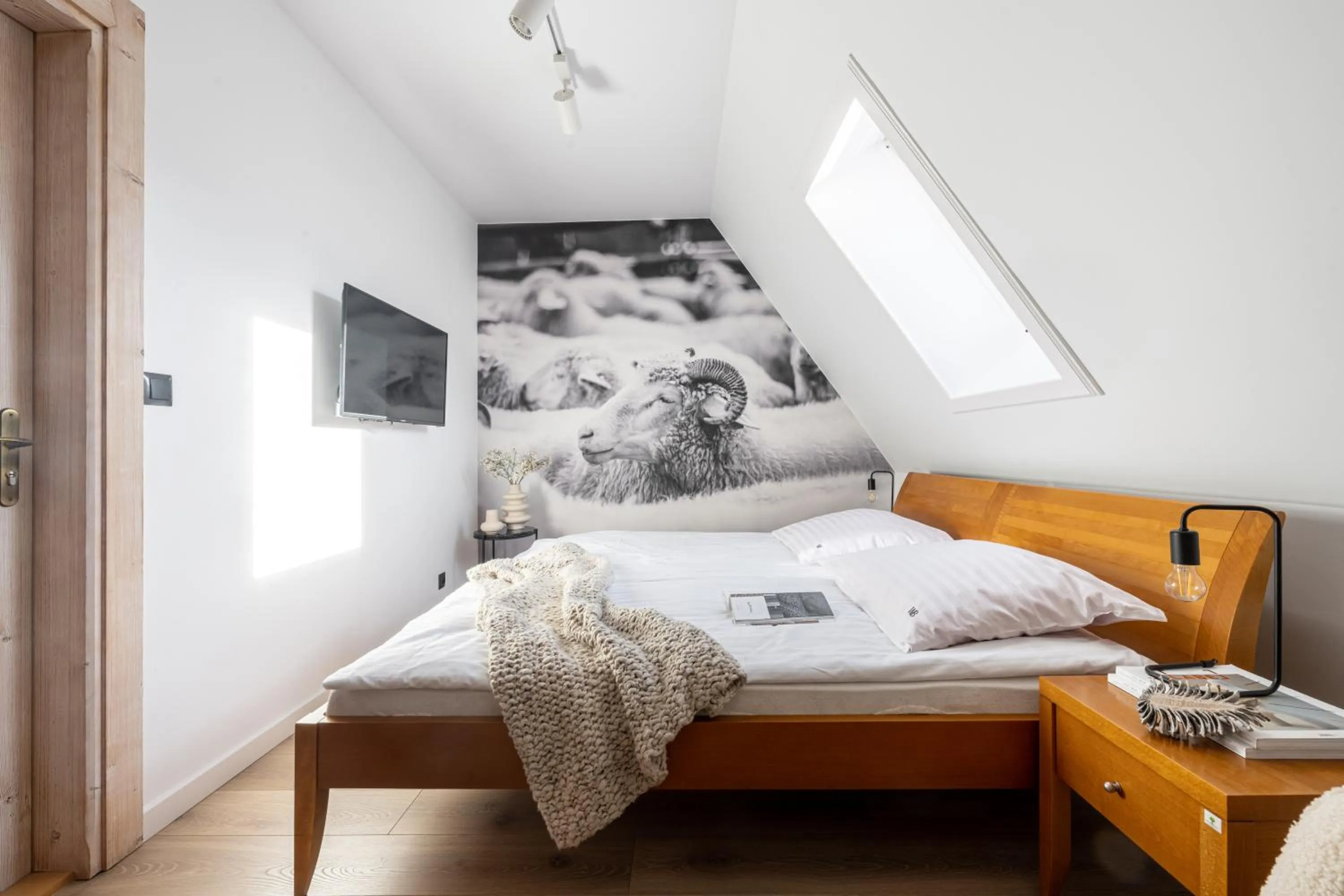 TV and multimedia, Bed in Willa Bór