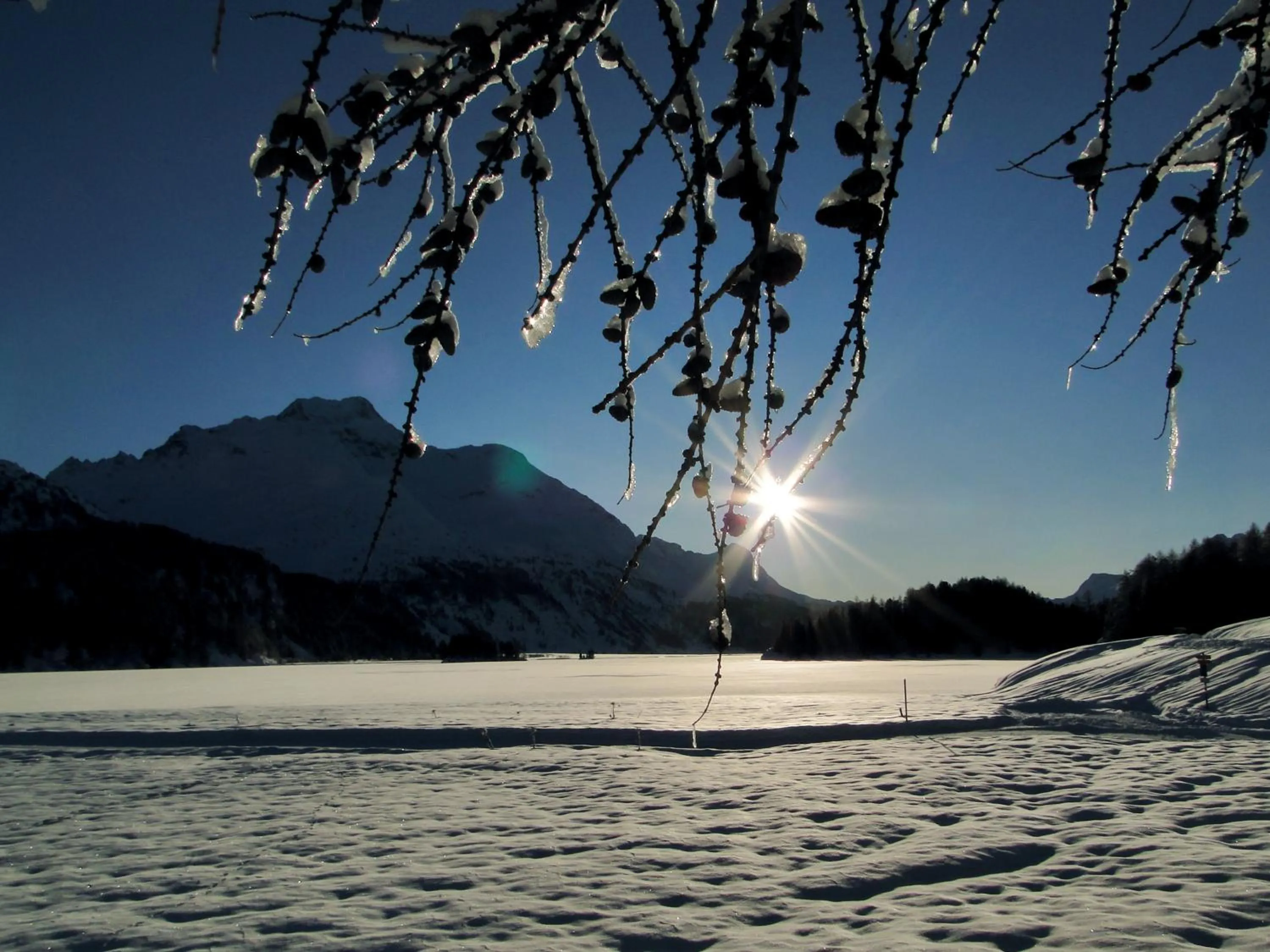 Area and facilities in Hotel Pöstli