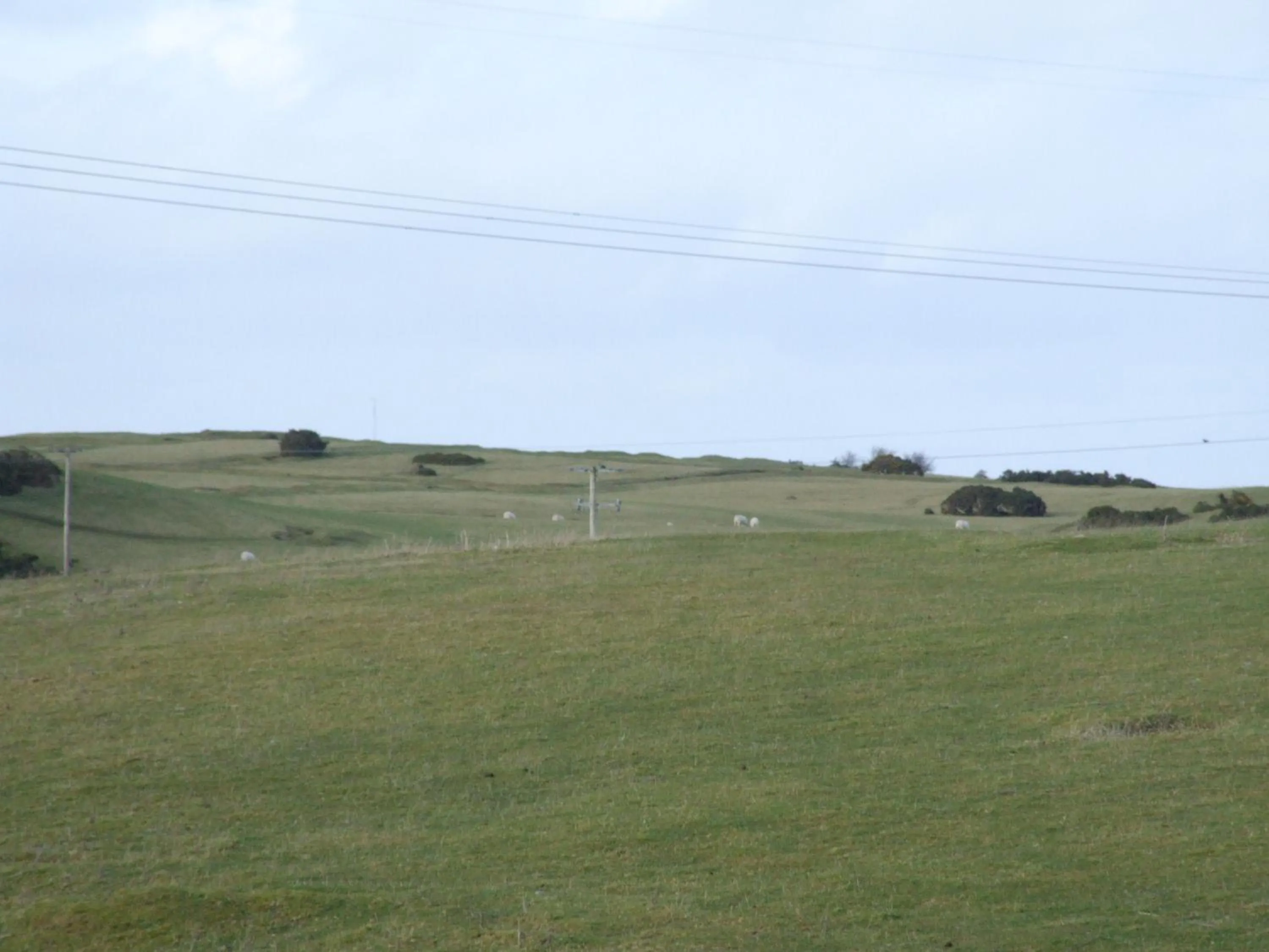 Garden in The Curragh Country House Accommodation