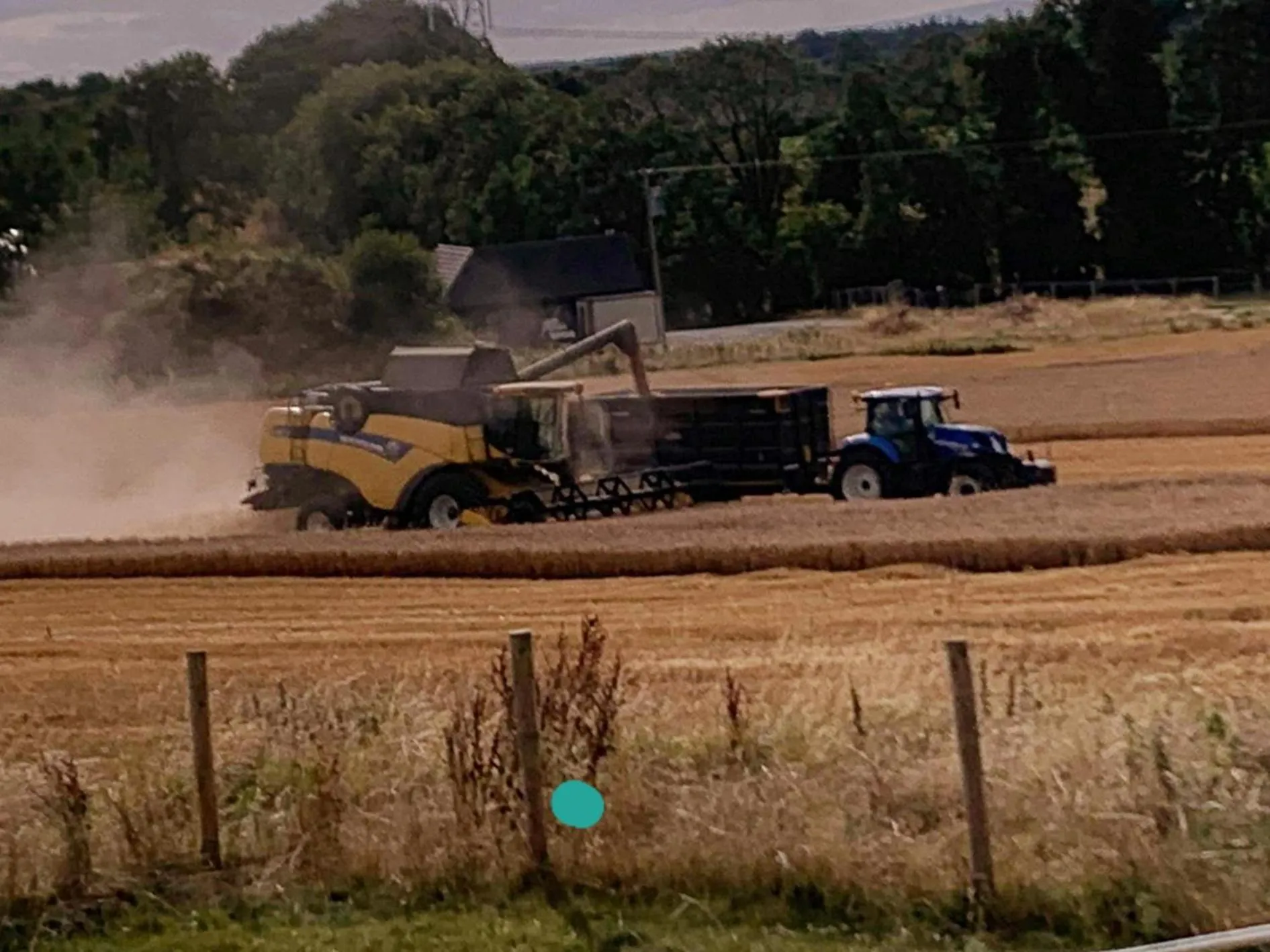 Natural landscape in The Curragh Country House Accommodation