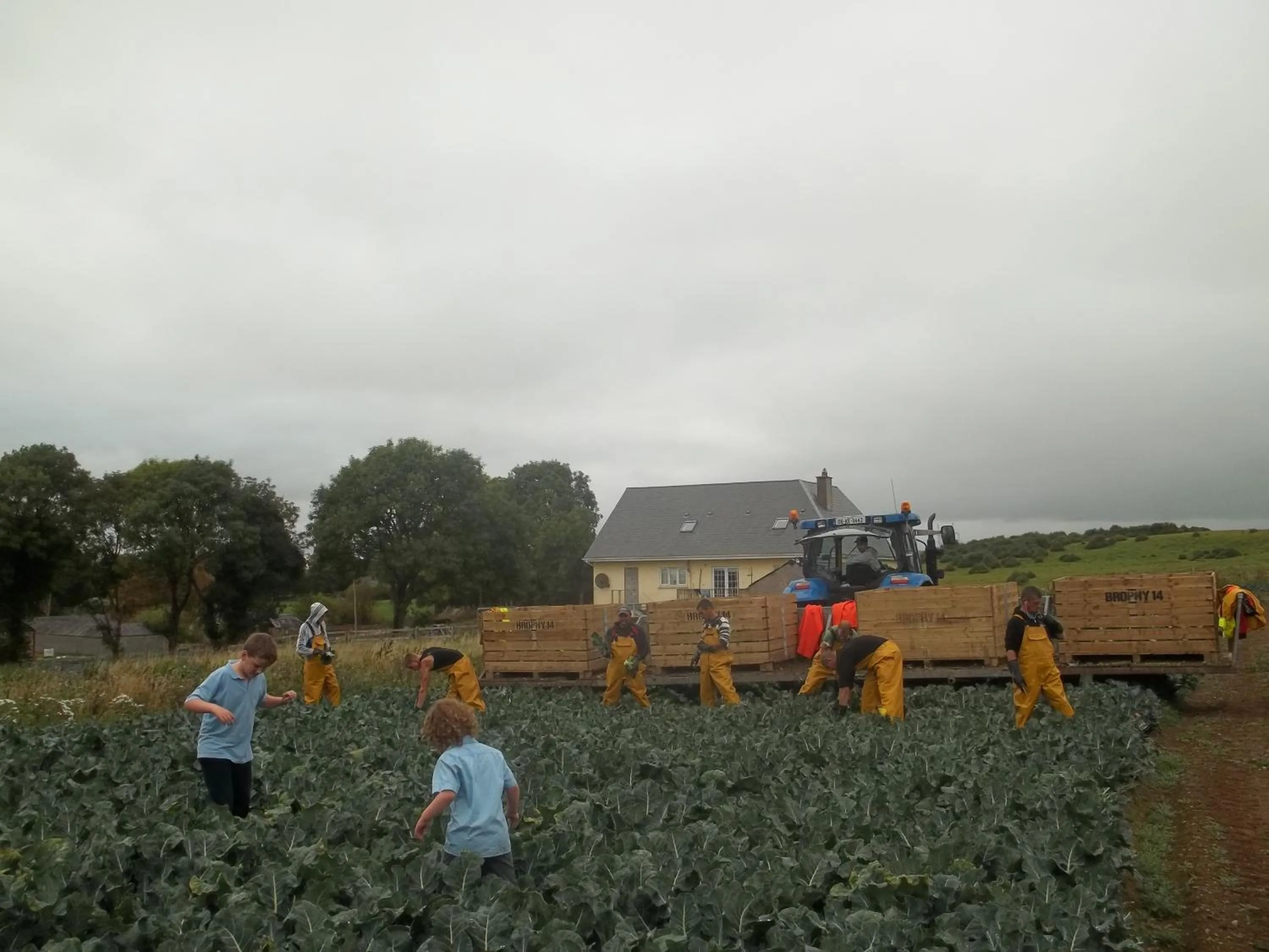 Activities in The Curragh Country House Accommodation