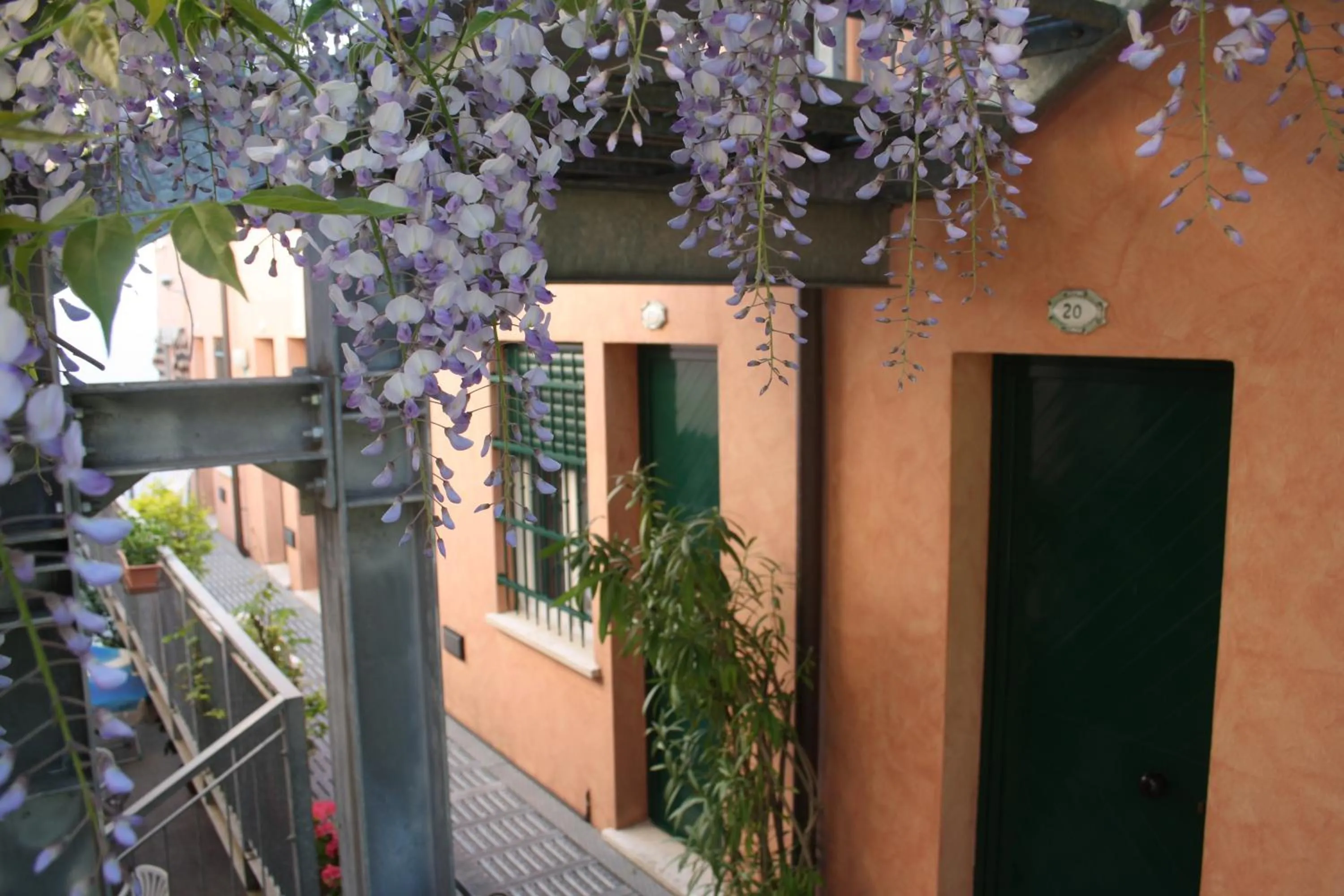 Garden in Hotel Villa Grazia