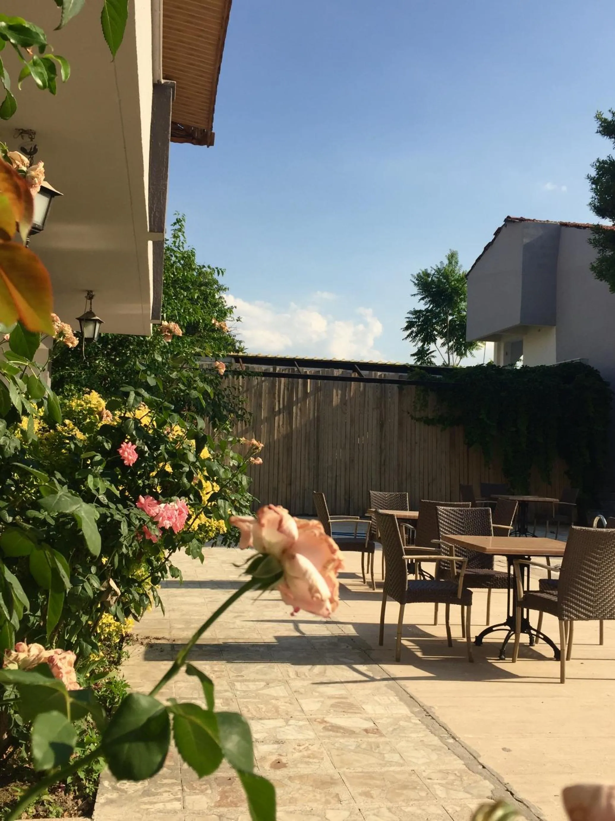 Garden view in ARTEMİS YÖRÜK OTEL OLD TOWN PAMUKKALE