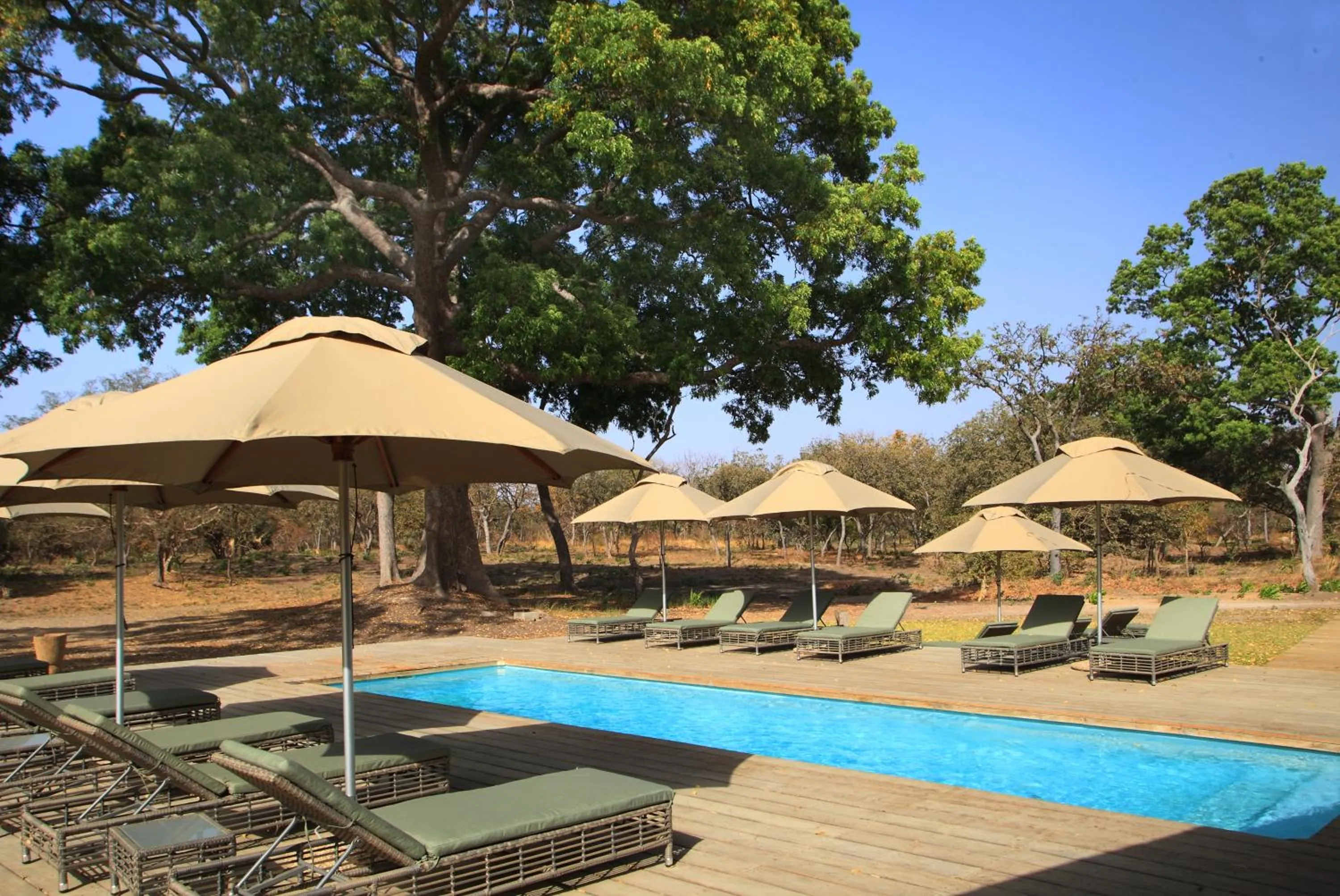 Swimming pool in Fathala Wildlife Reserve