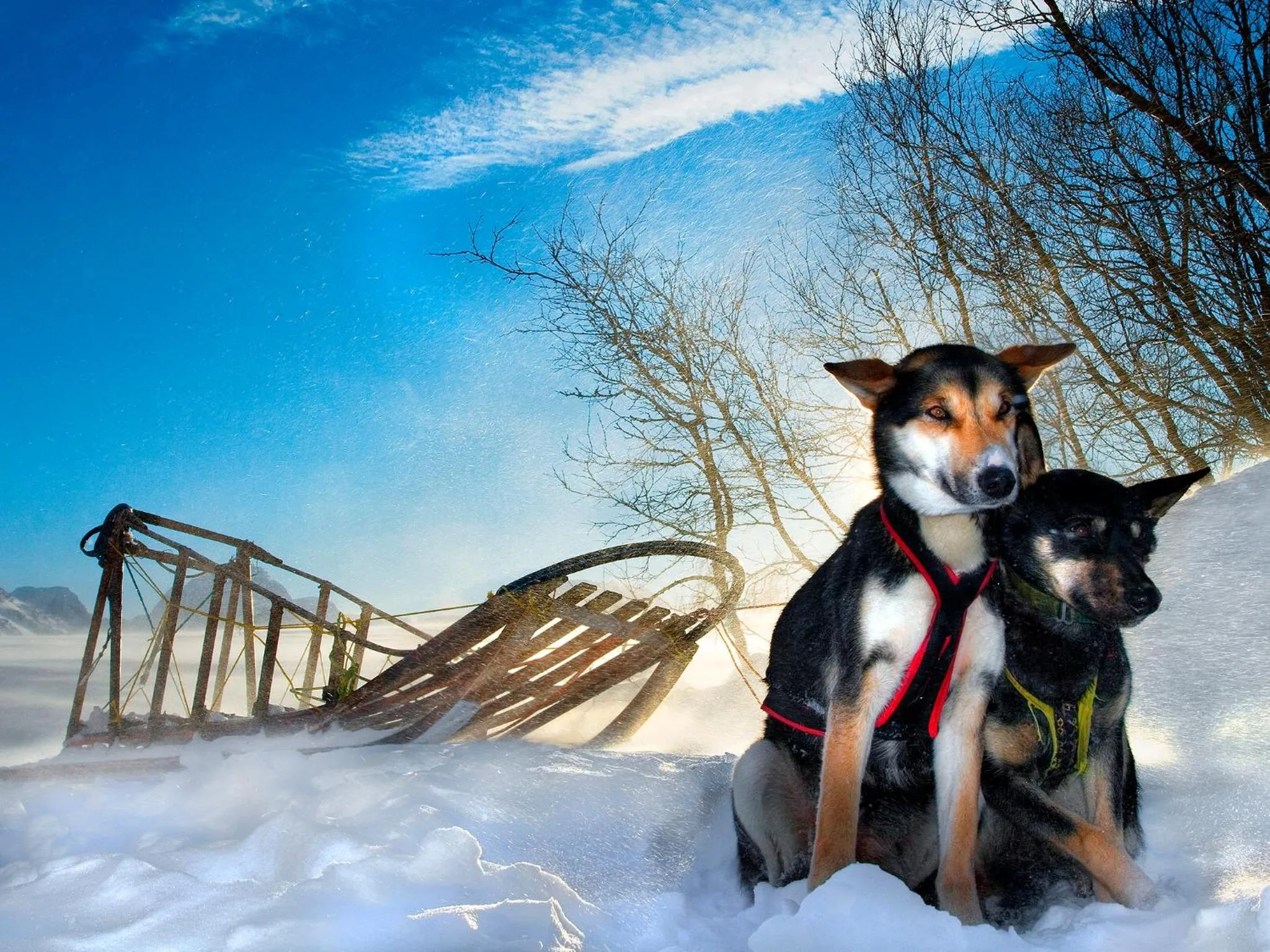 Other in Arctic Panorama Lodge