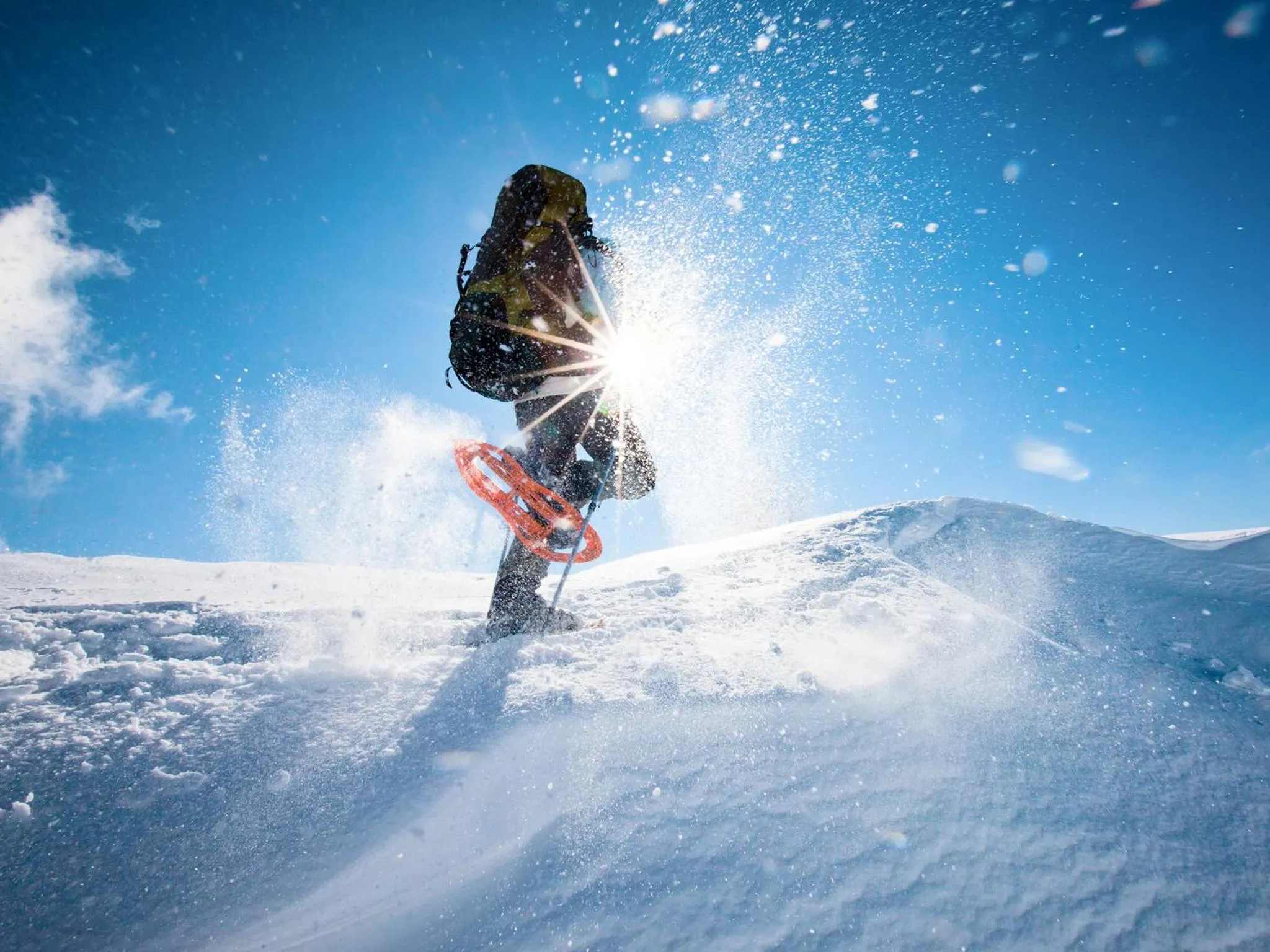 People in Arctic Panorama Lodge