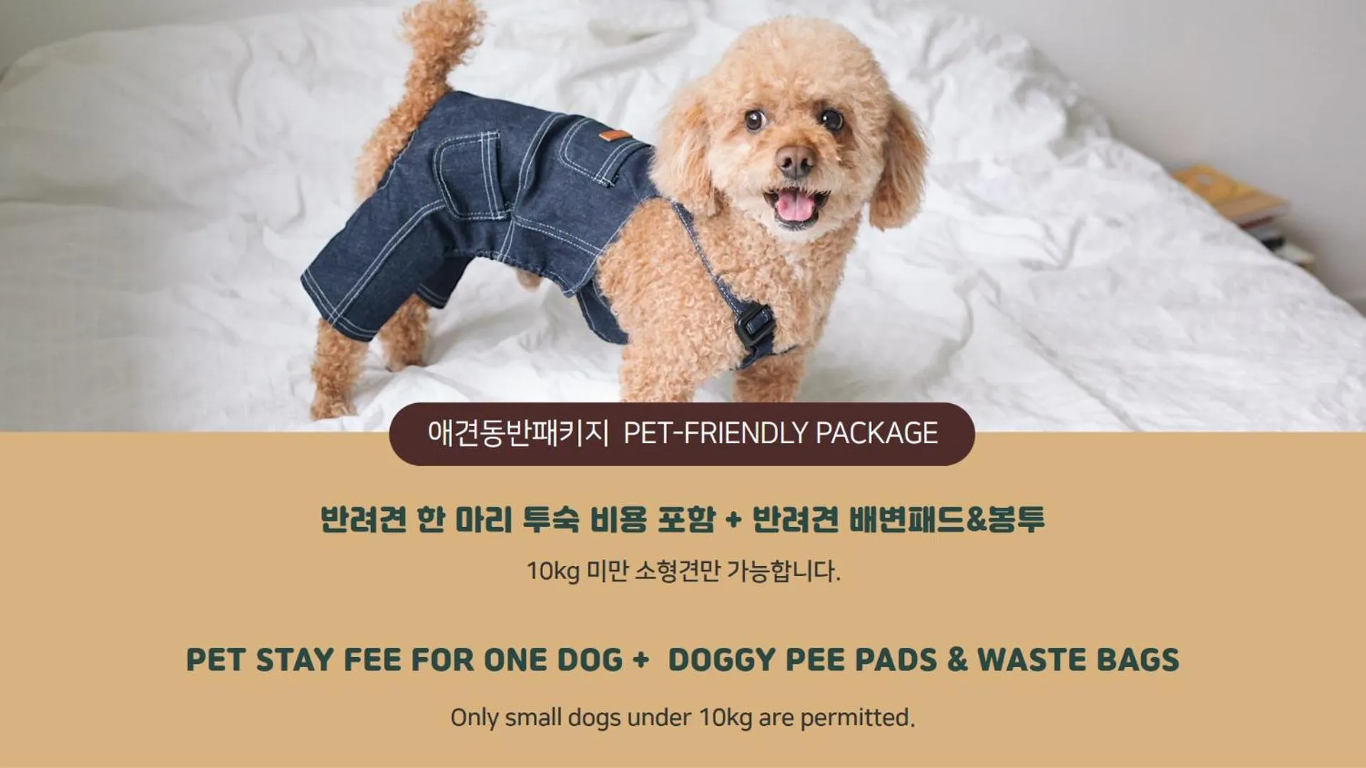 Text overlay in Ramada Hotel and Suites Seoul Namdaemun