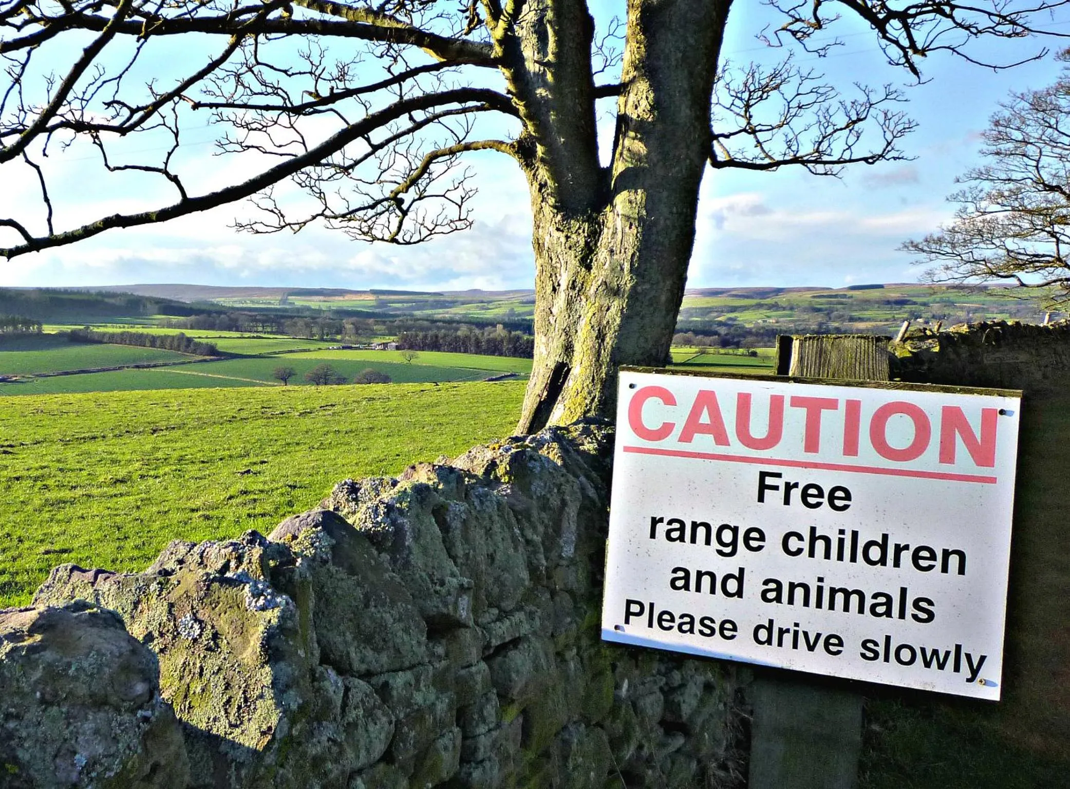 View (from property/room) in Rye Hill Farm