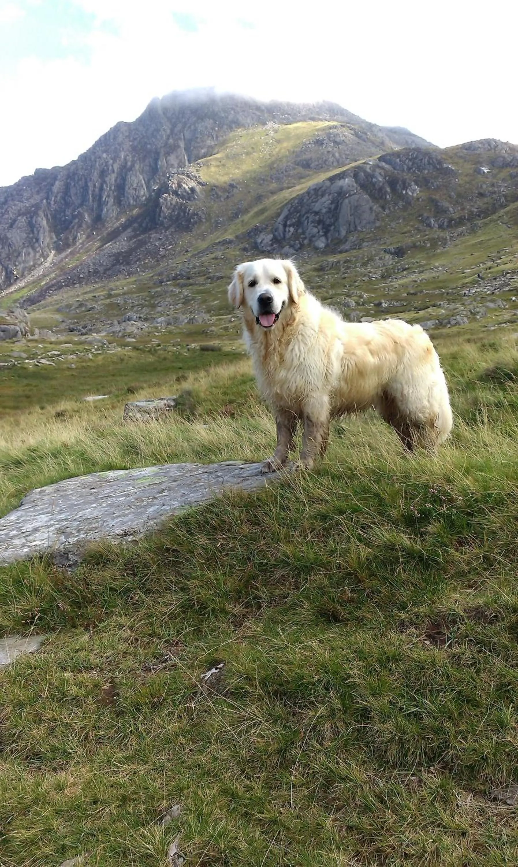 Other in Min y Don Guest House