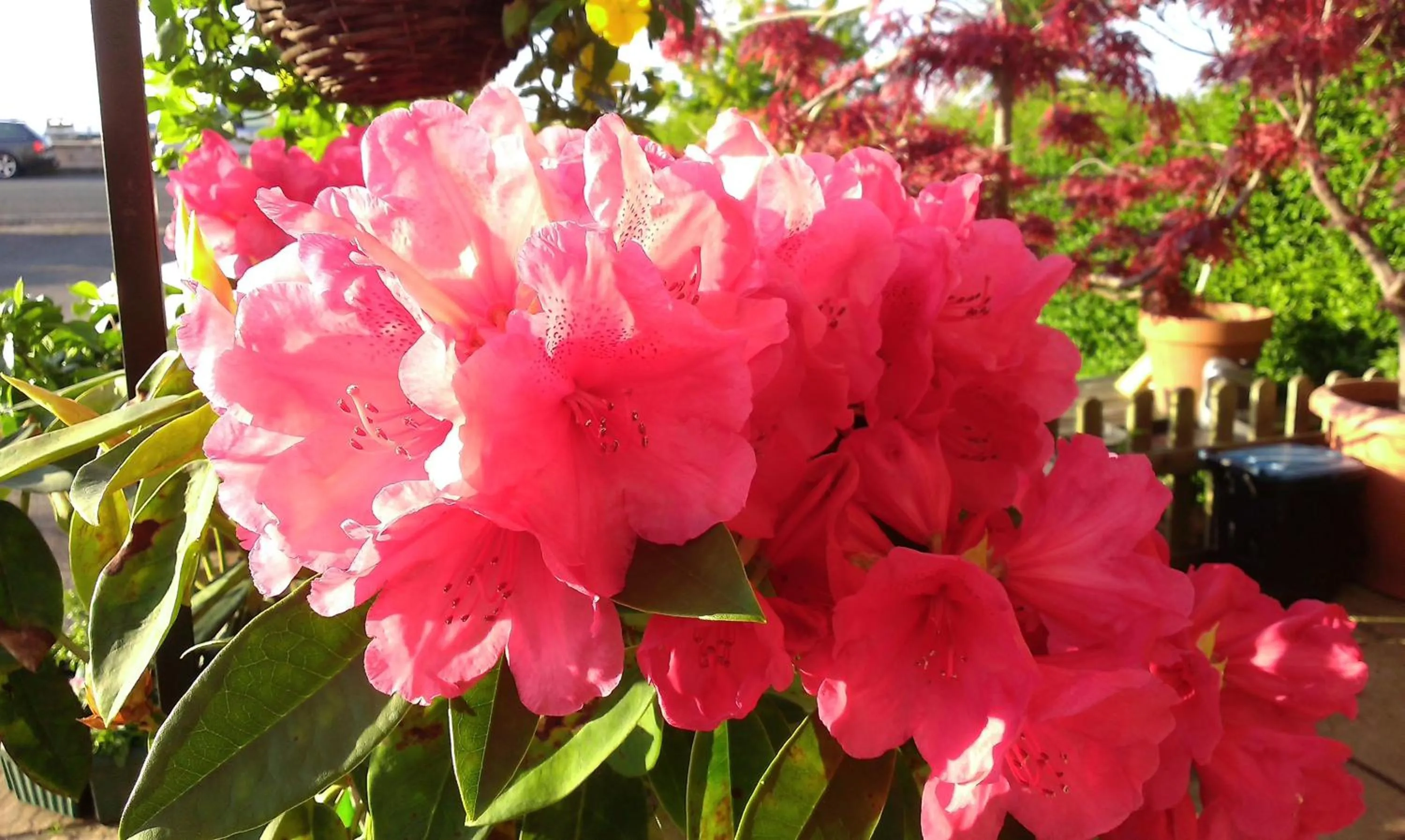 Summer in Min y Don Guest House