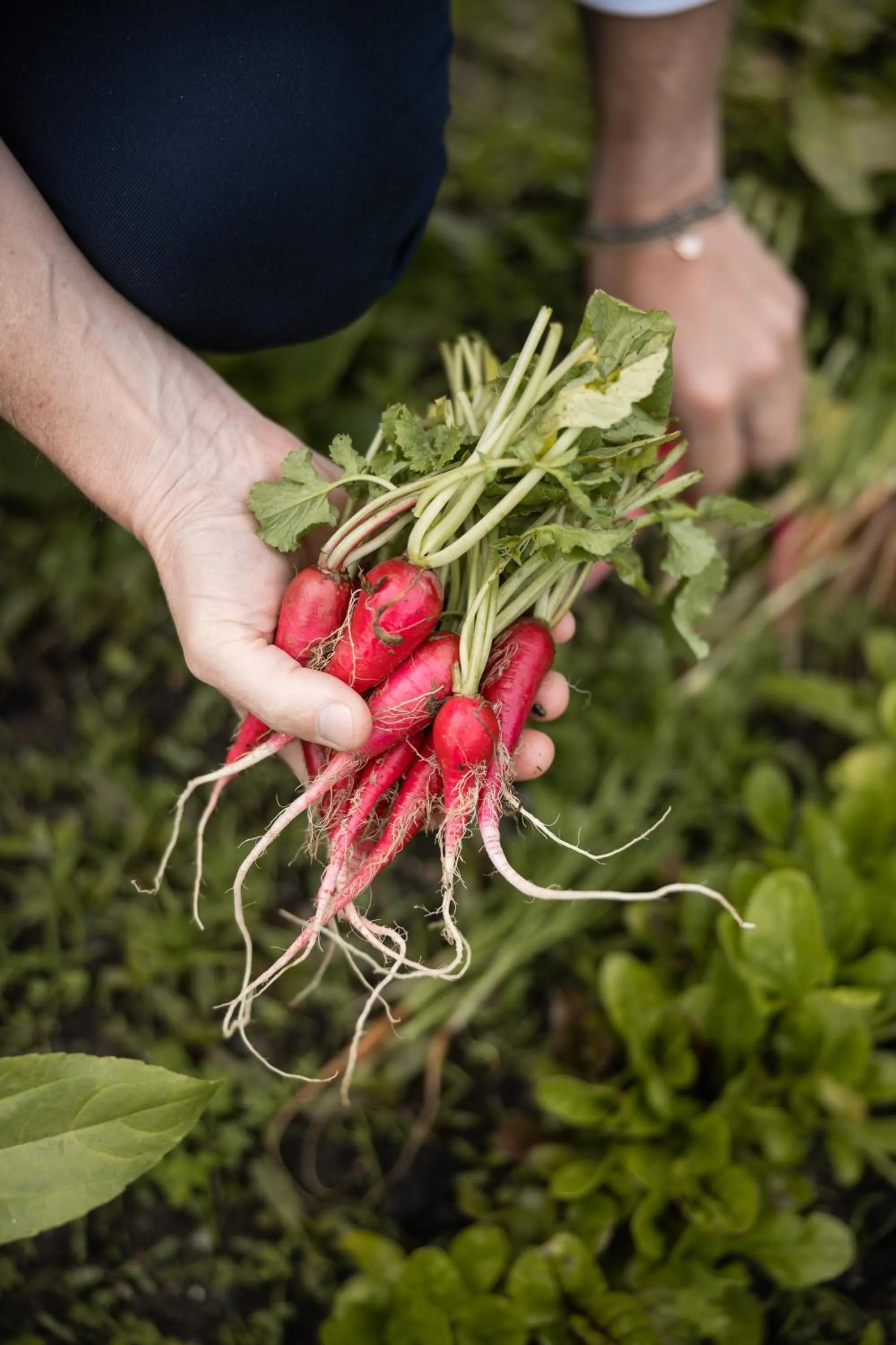 Garden in Relais & Chateaux Hotel Castel Fragsburg