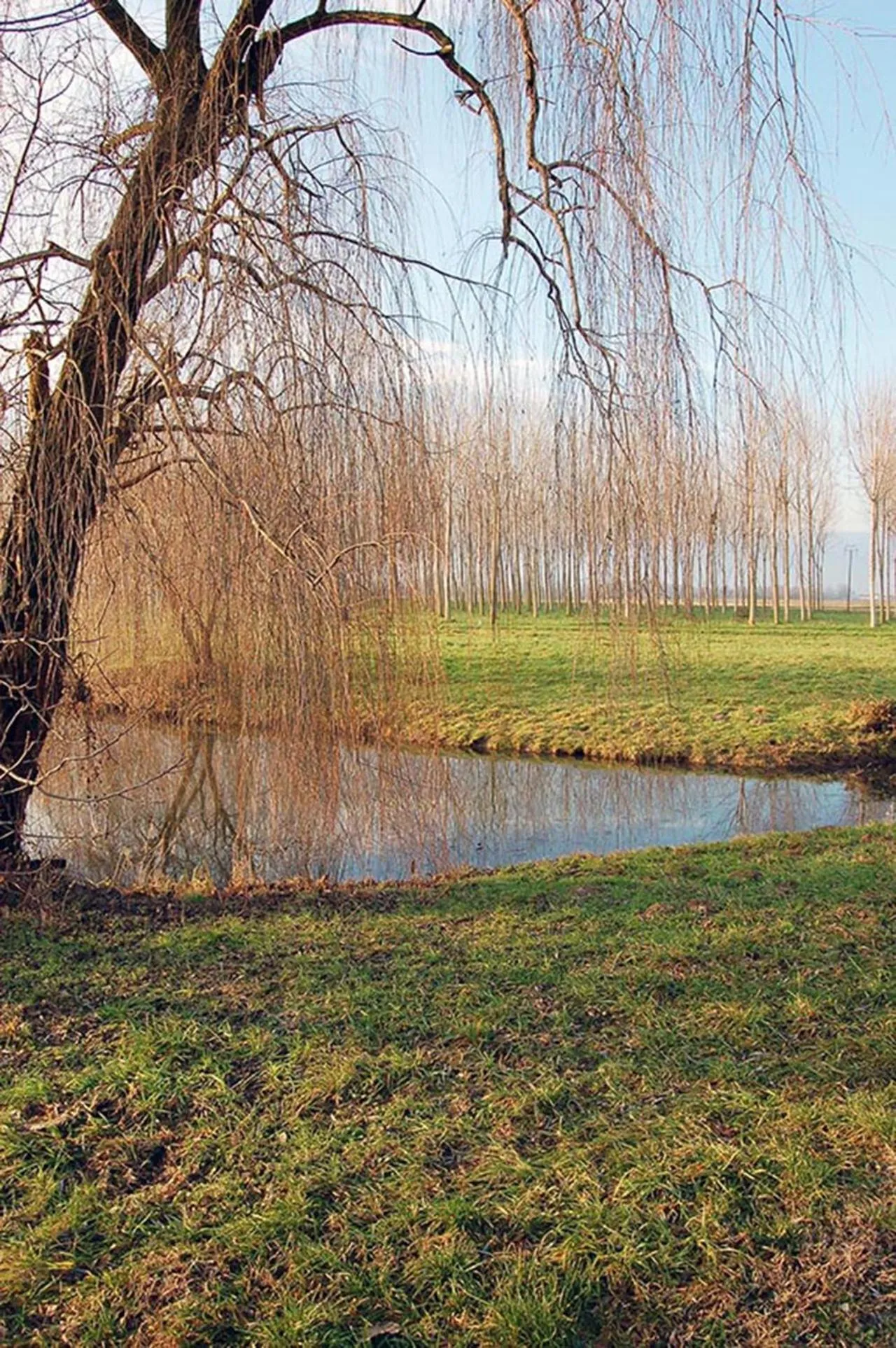 River view in Il Broletto B&B