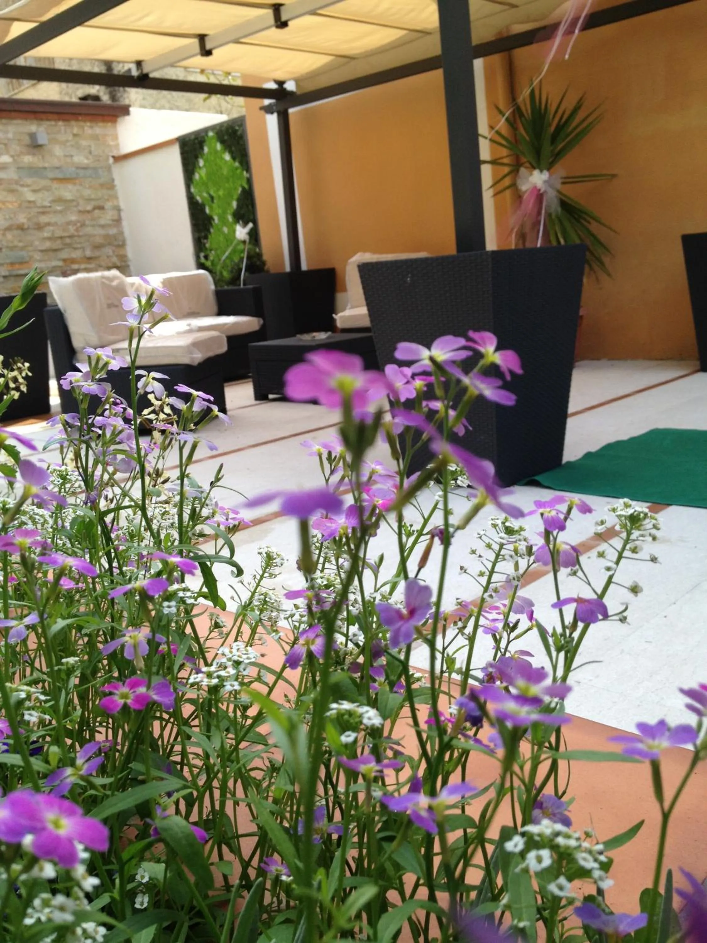 Facade/entrance in Hotel La Rosetta Scauri