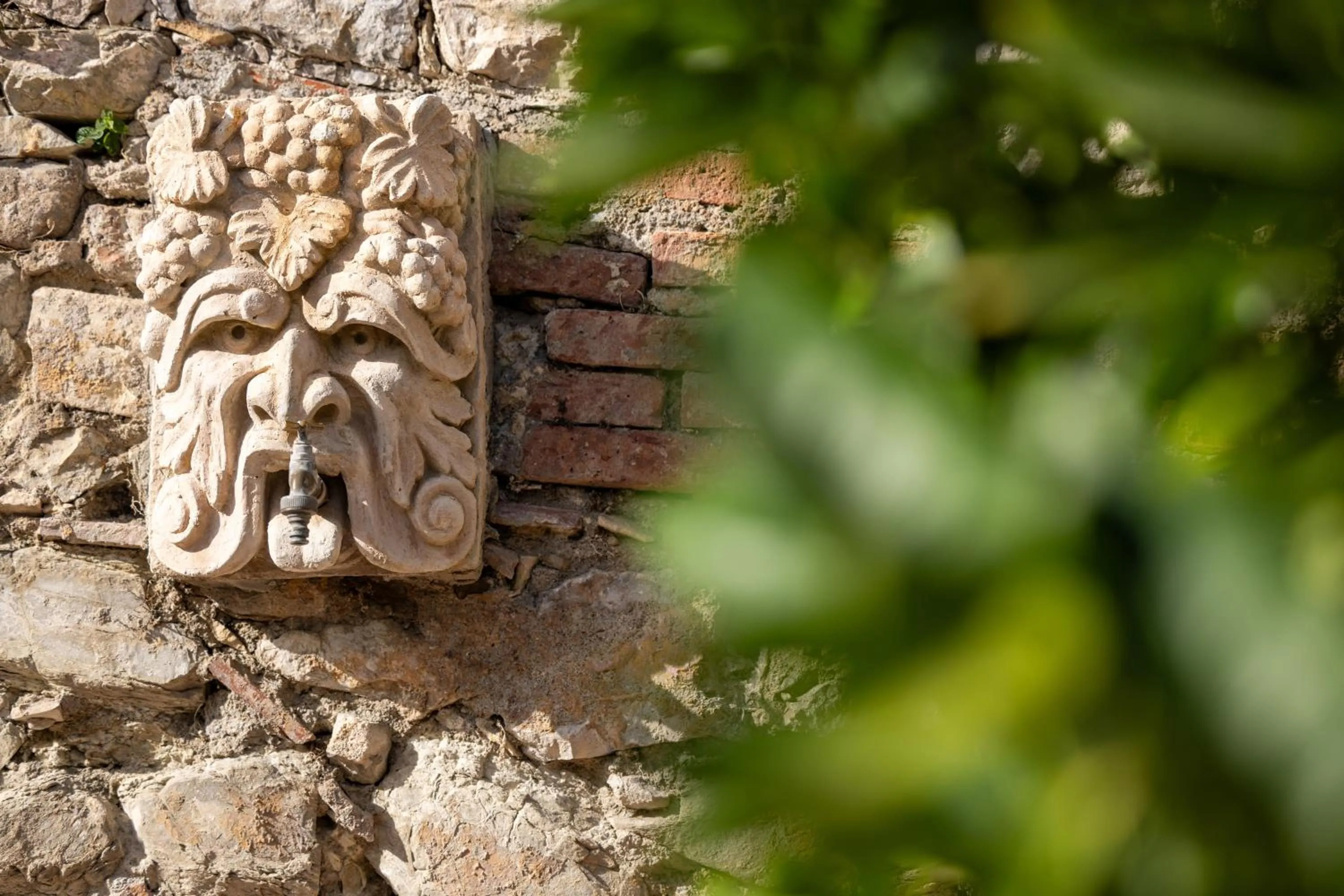Garden in Hotel Villa Taormina