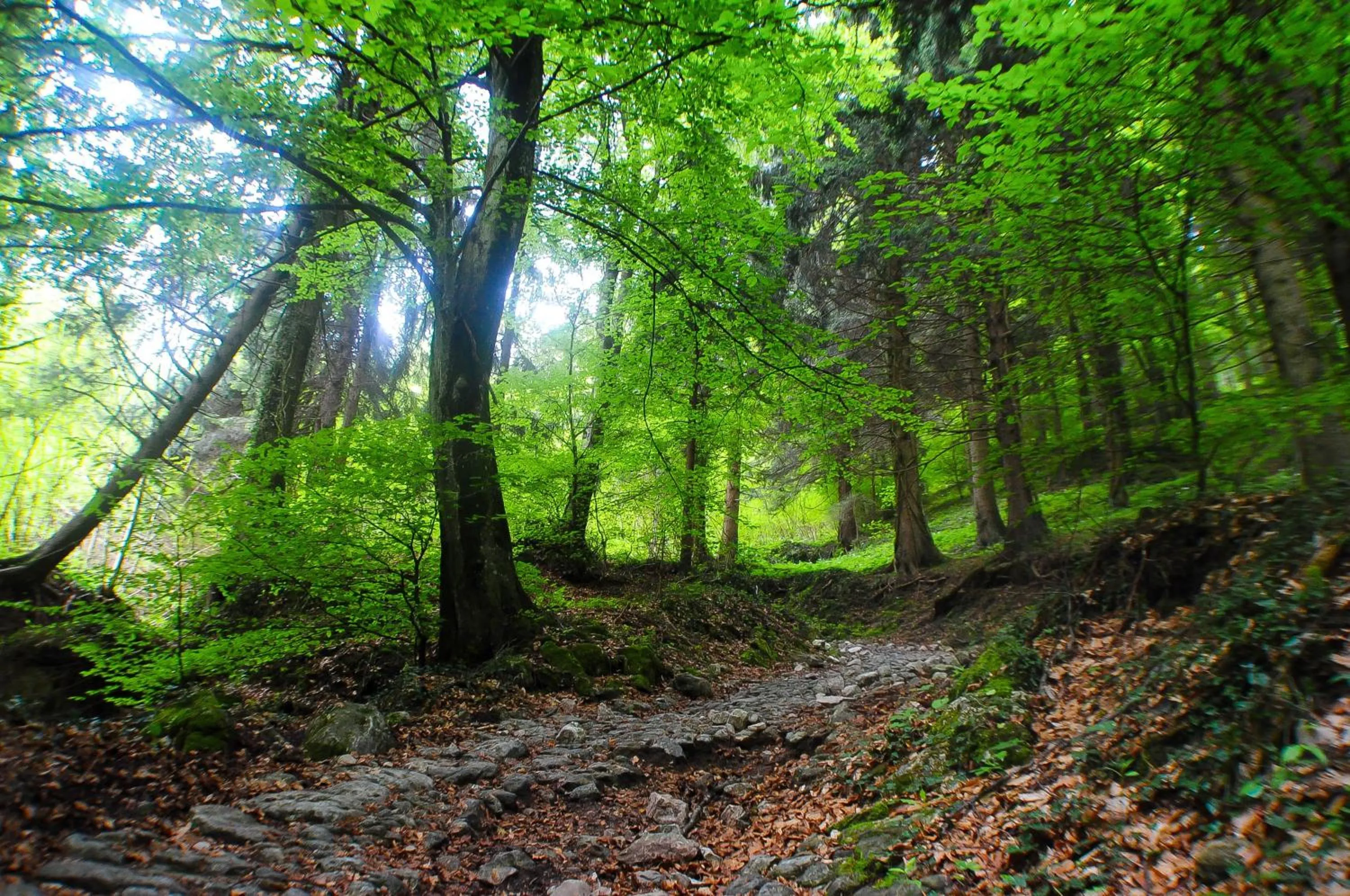 Hiking in Hotel Conca Verde