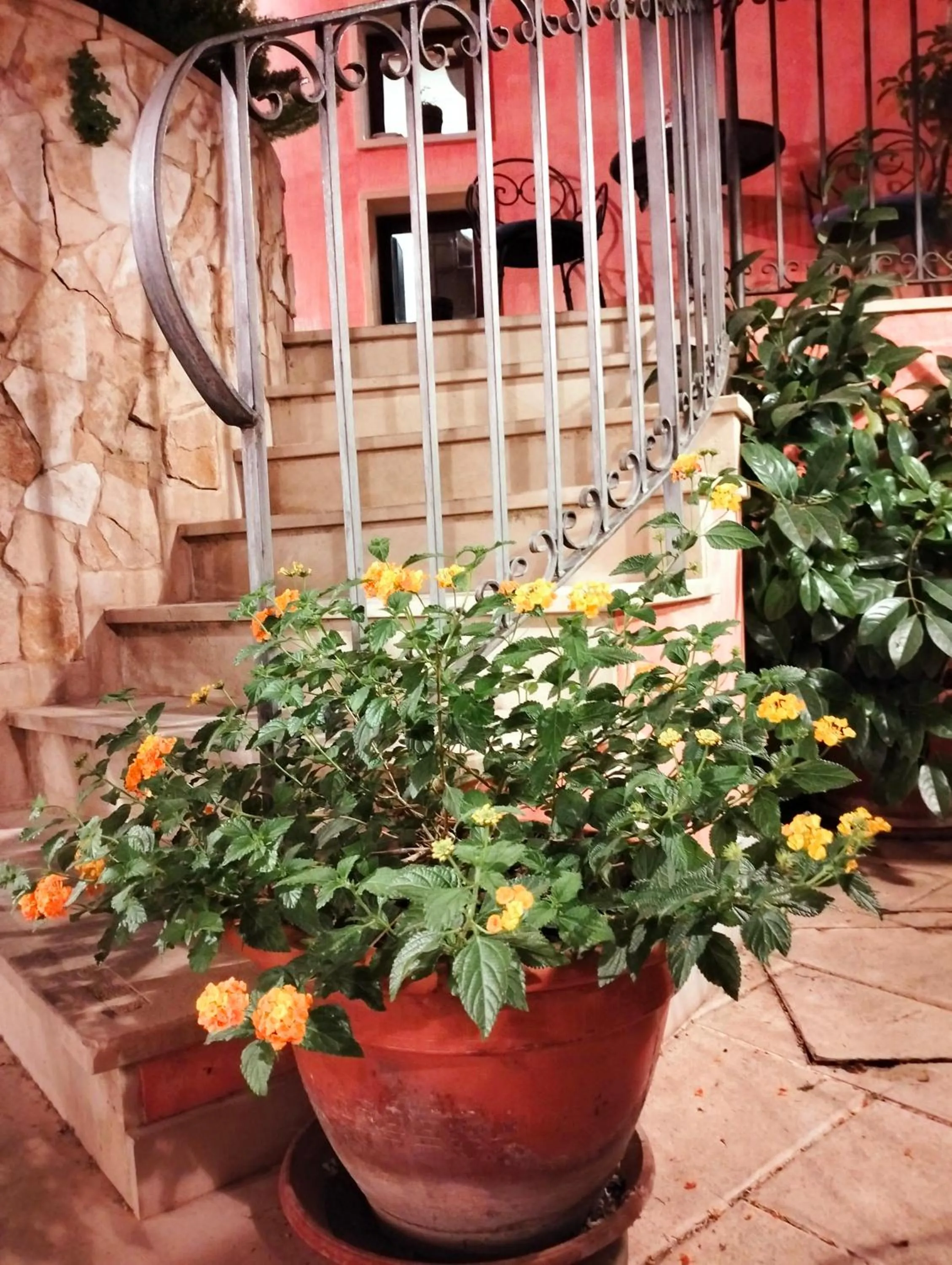 Garden in Hotel Il Barocco