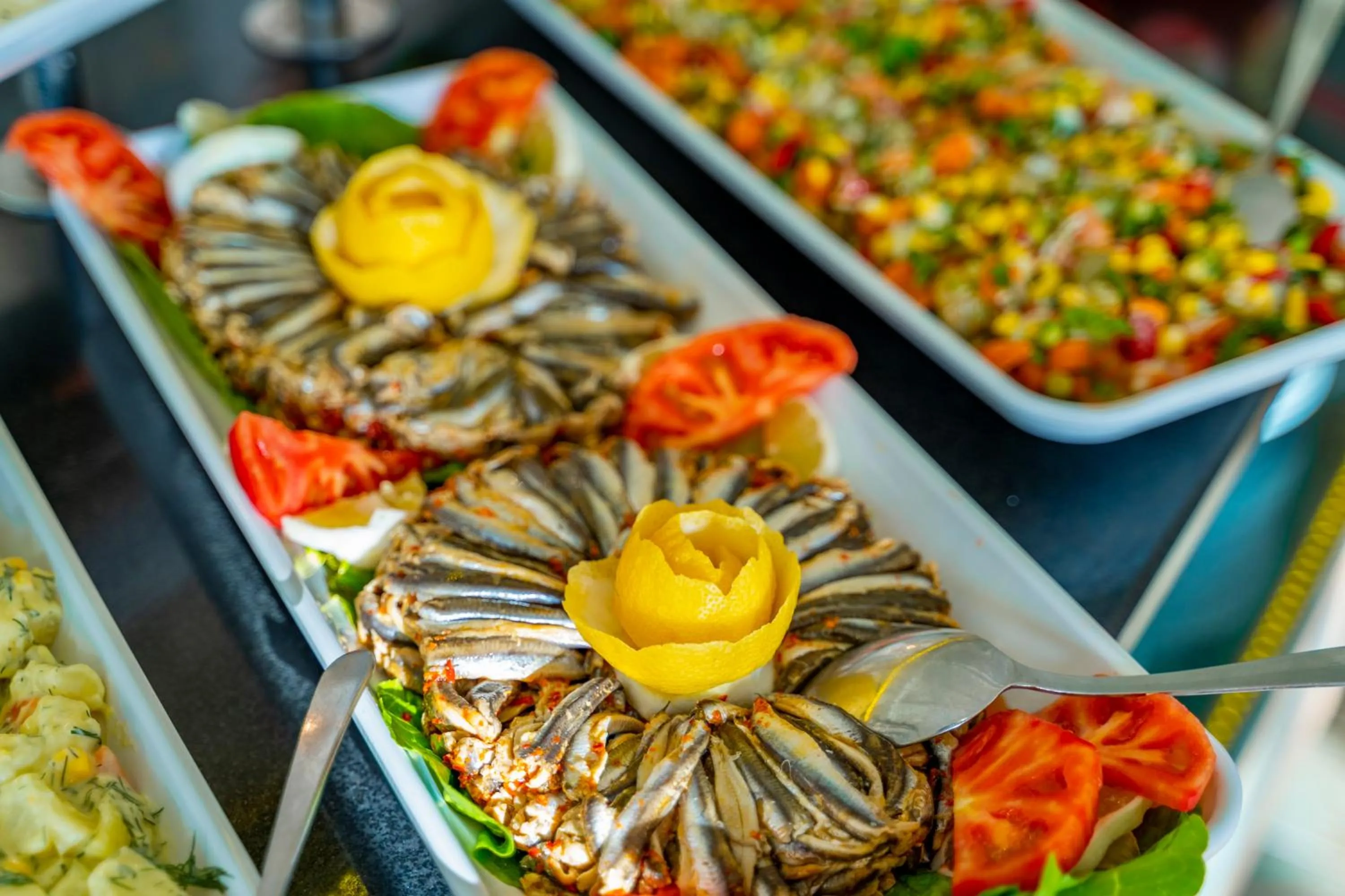 Food in Riva Bodrum Resort- Adult Only +16