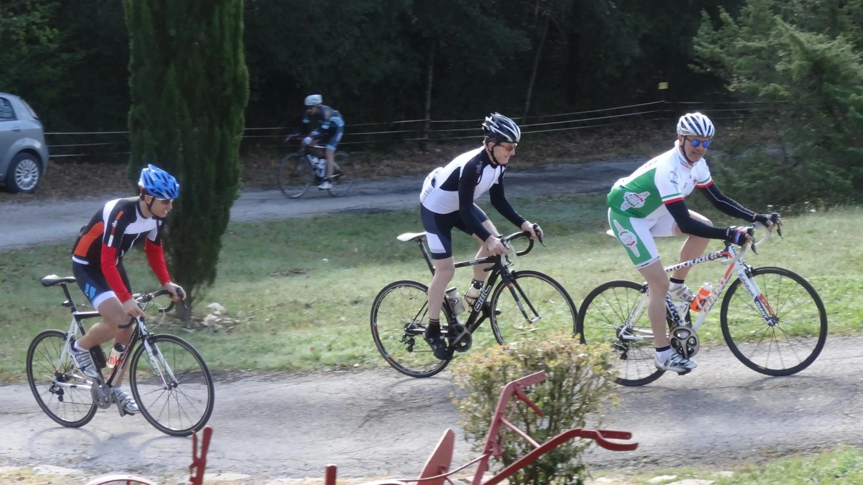 group of guests in Campo Di Carlo