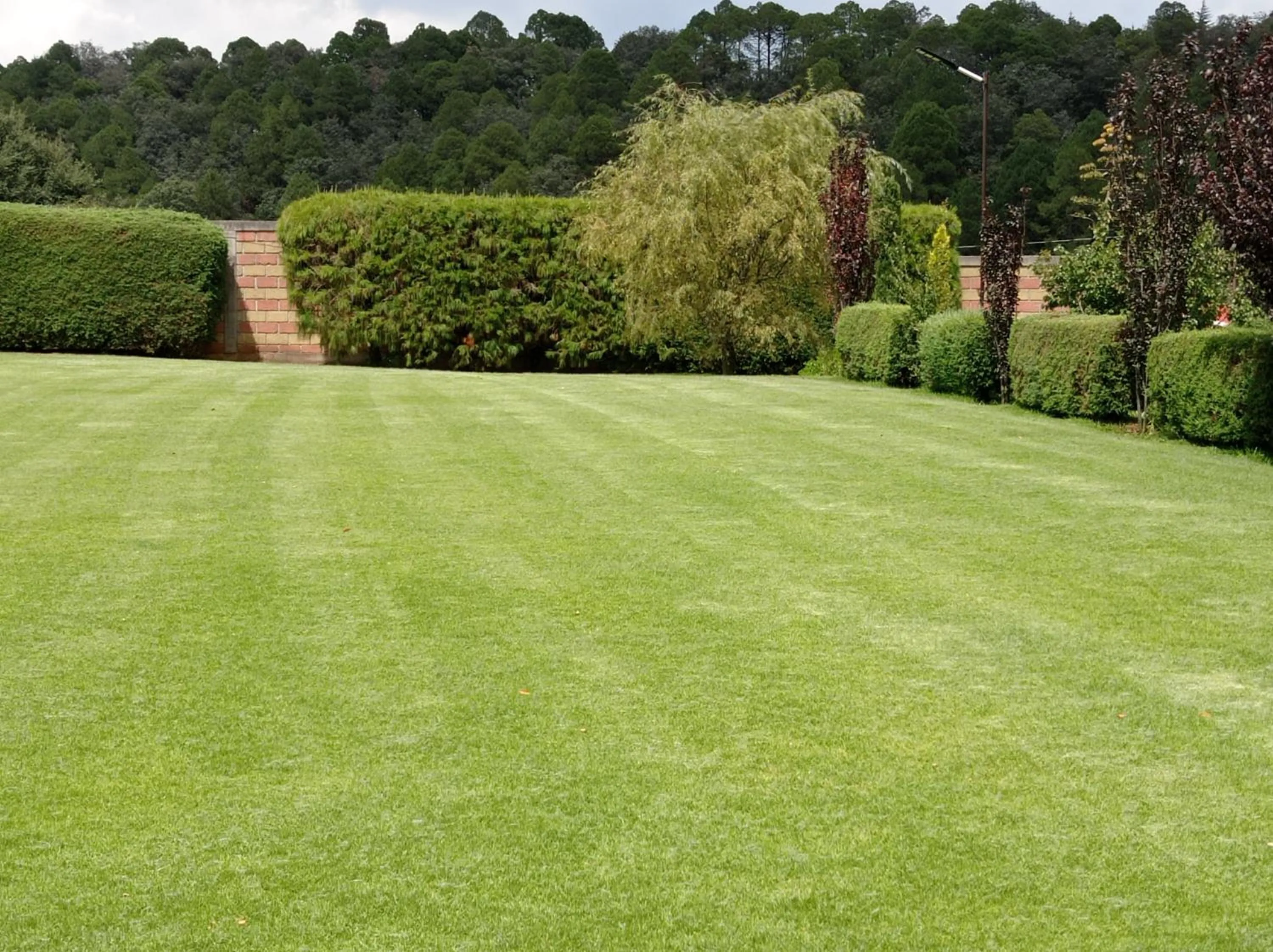 Garden in Finca Marix, Villa del Carbón