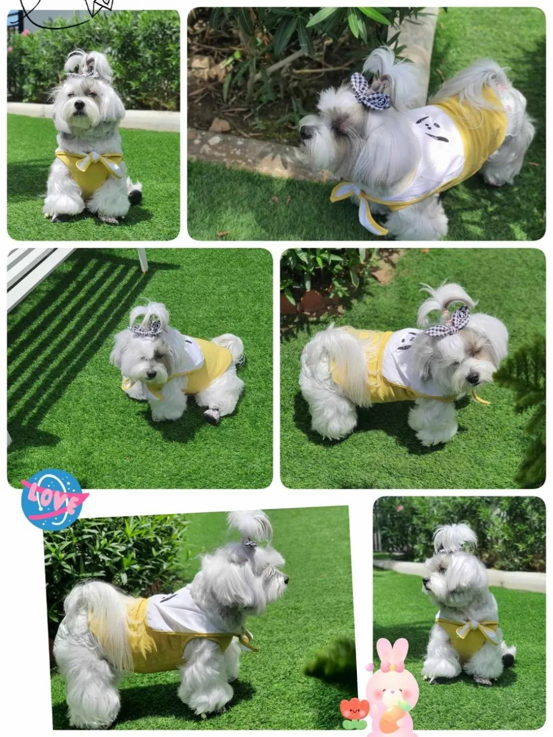 pet friendly in Christella Hotel Laemchabang