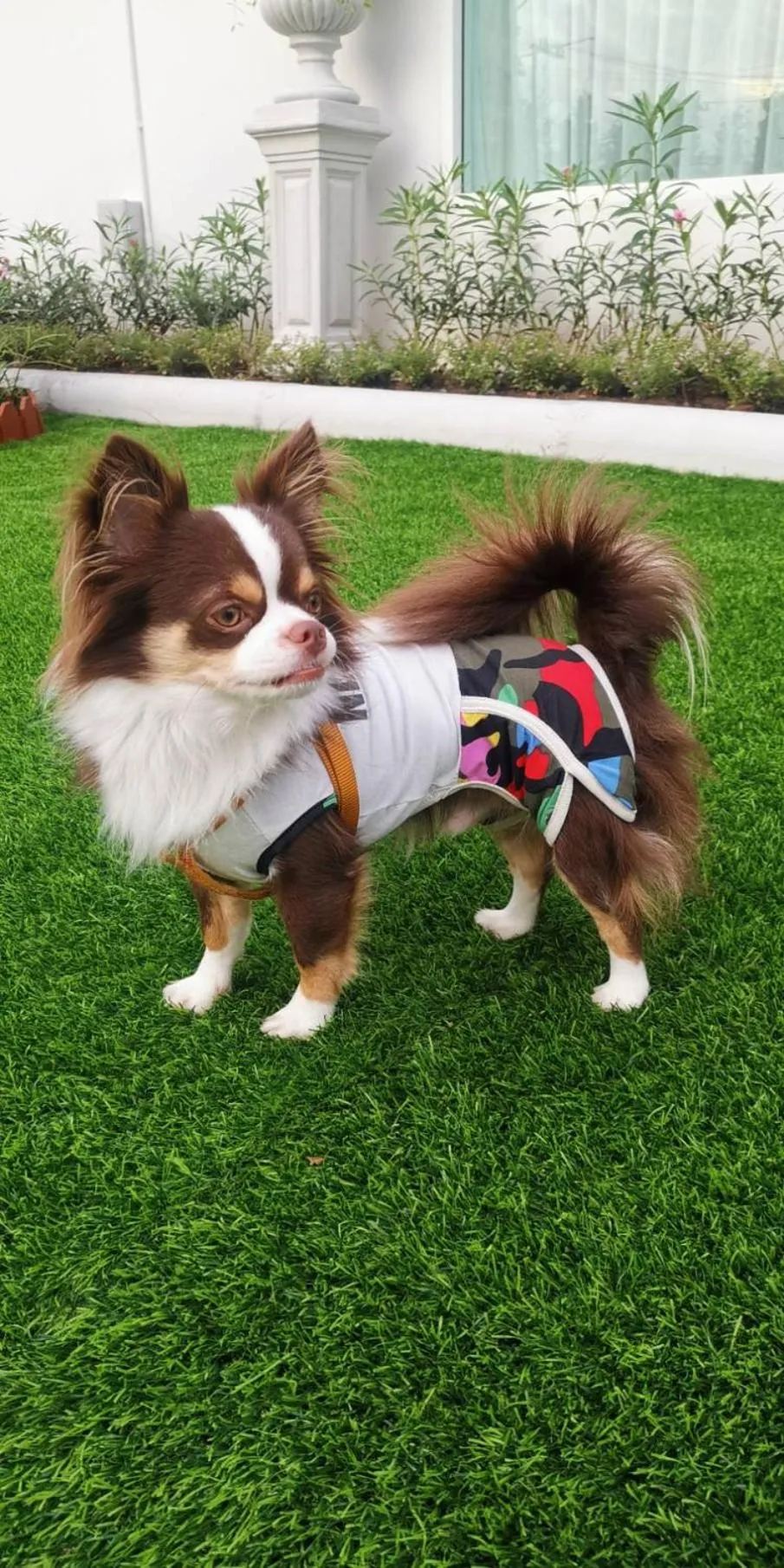 pet friendly in Christella Hotel Laemchabang