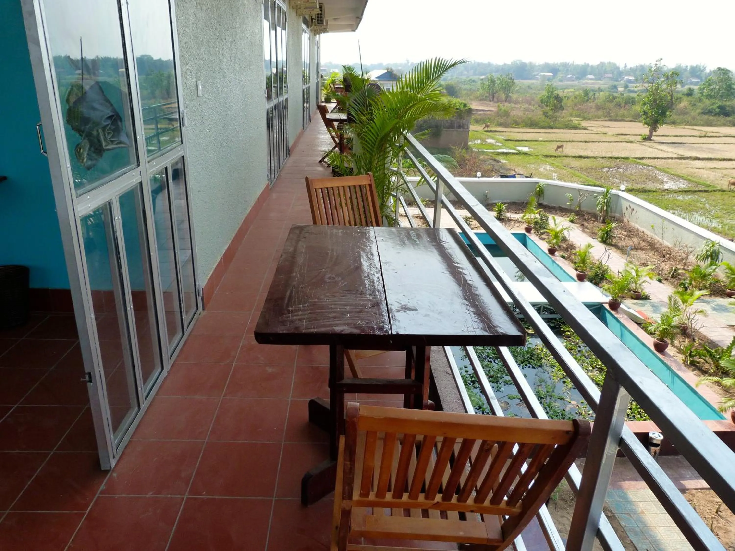 Balcony/Terrace in River Dolphin Hotel