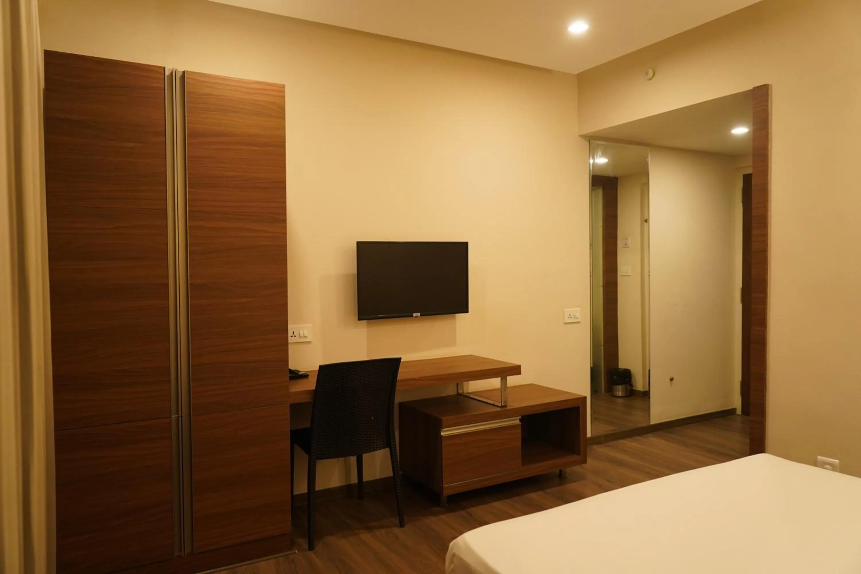 TV and multimedia in Hotel Bekal International