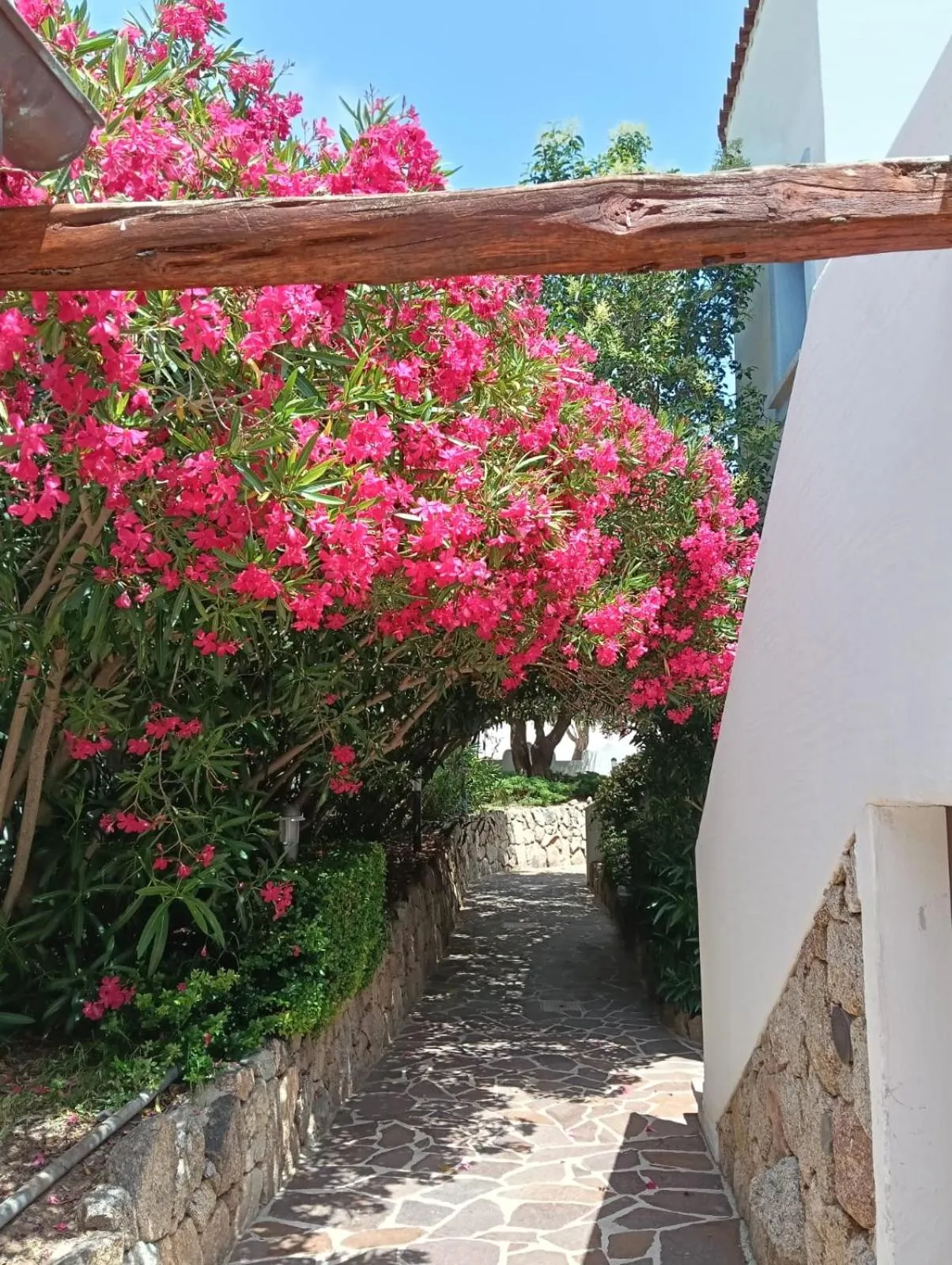 Garden in Hotel Resort Nuraghe Arvu