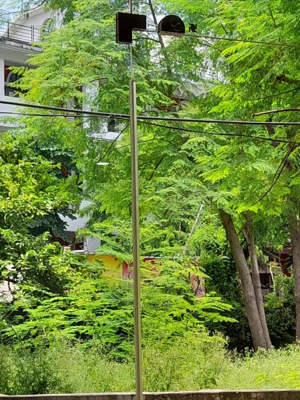 Natural landscape in Hotel Krishna Rishikesh