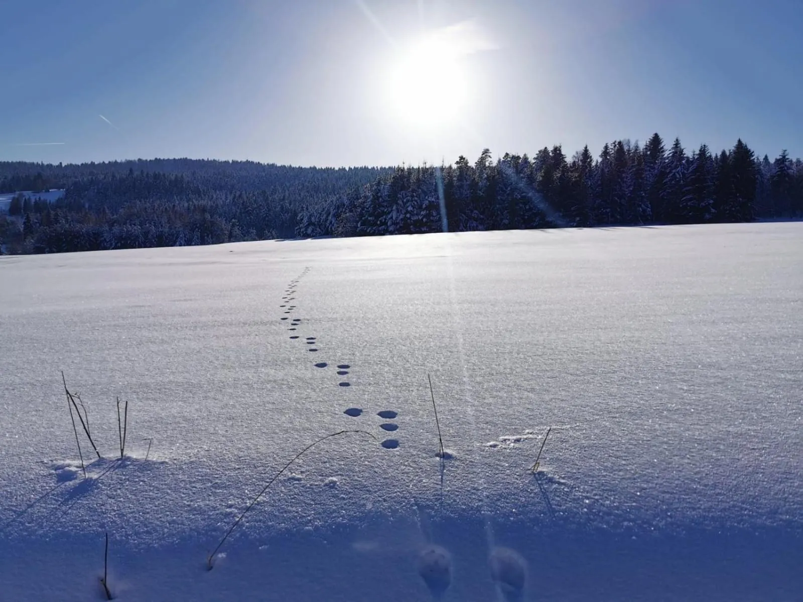 Winter in Końska Dolina