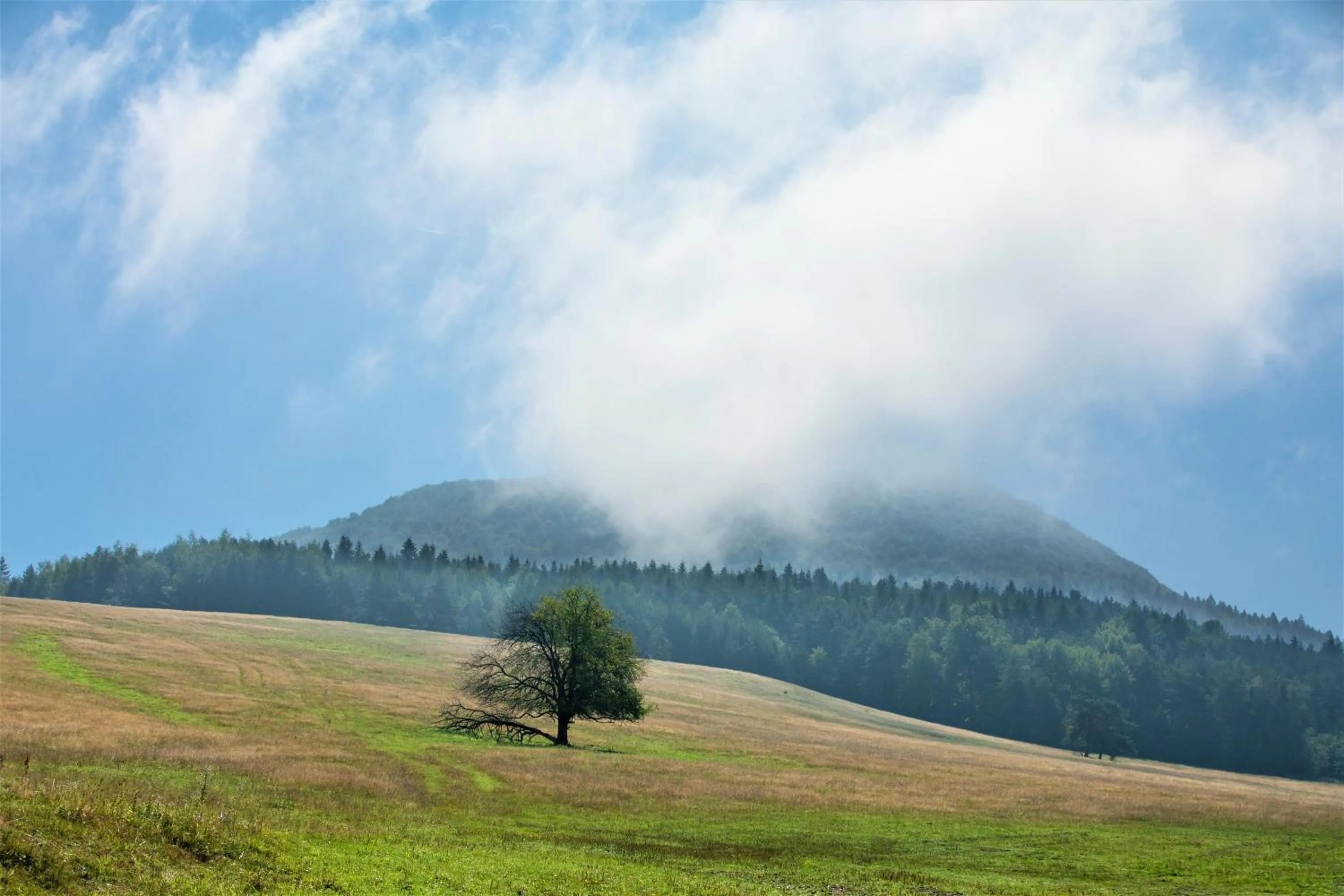 Natural landscape in Końska Dolina
