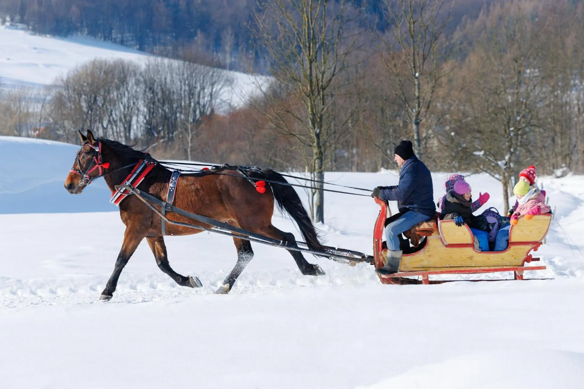 Winter in Końska Dolina