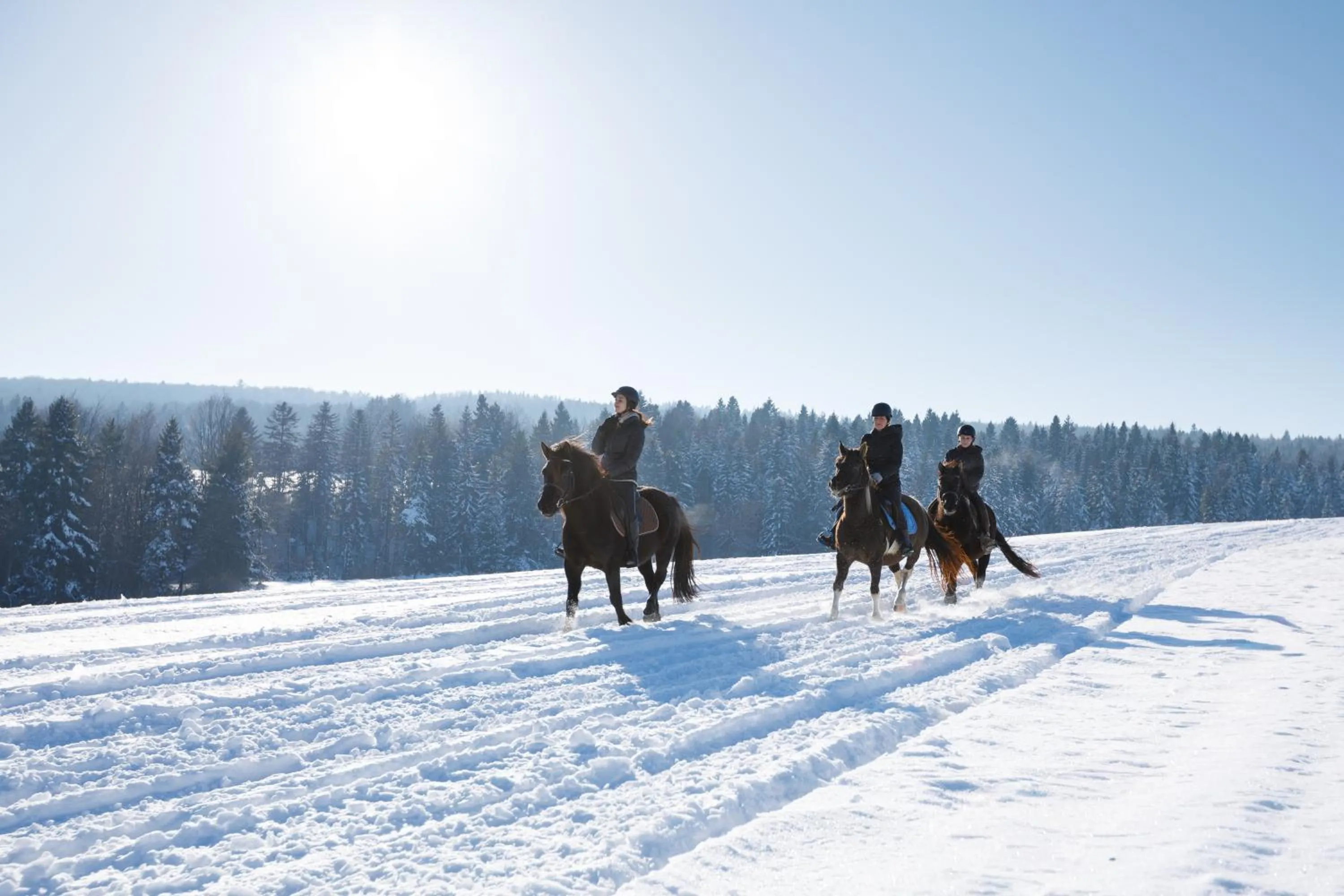 Winter in Końska Dolina