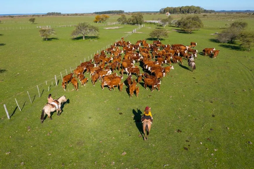 Day in Estancia San Agustin