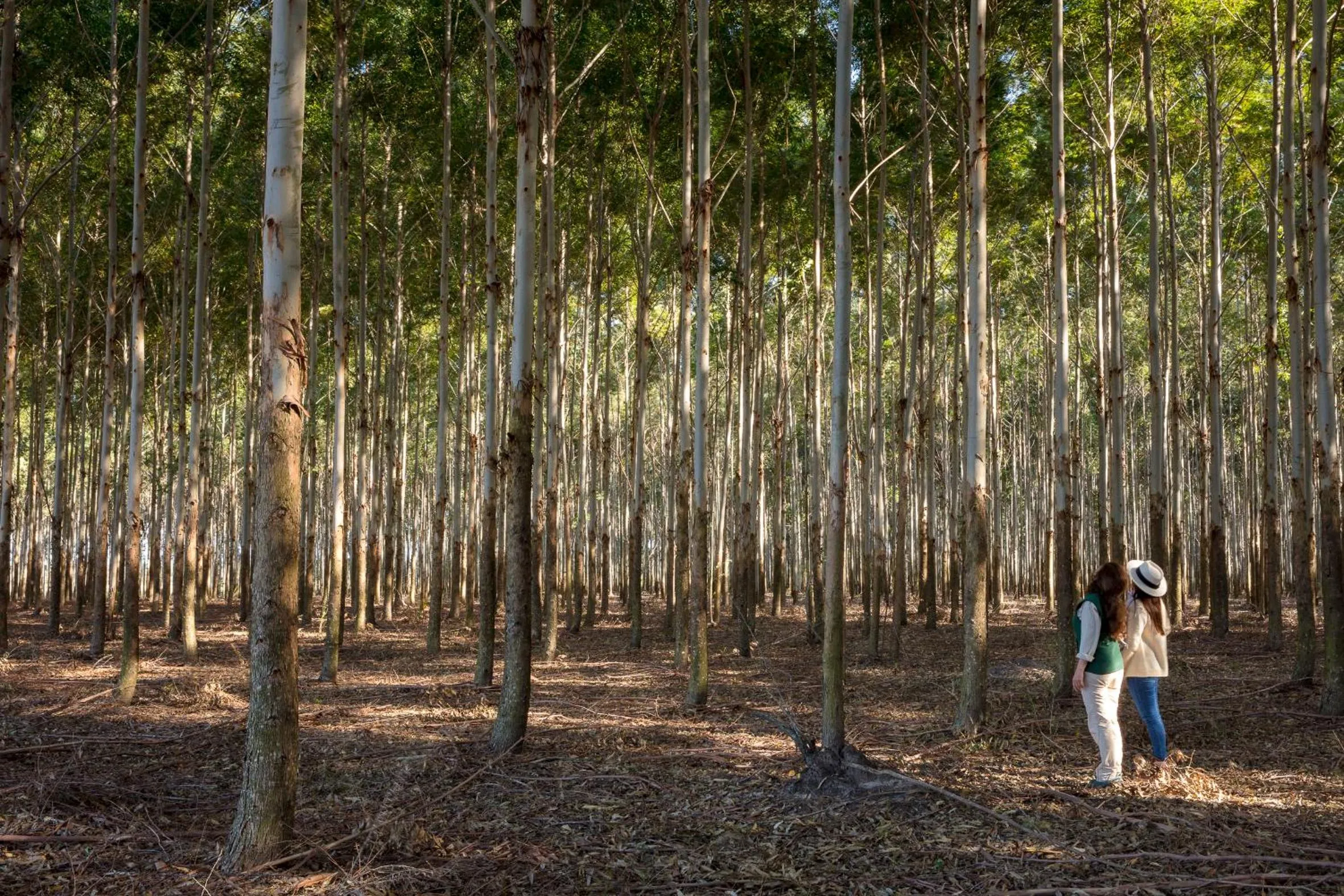 group of guests in Estancia San Agustin