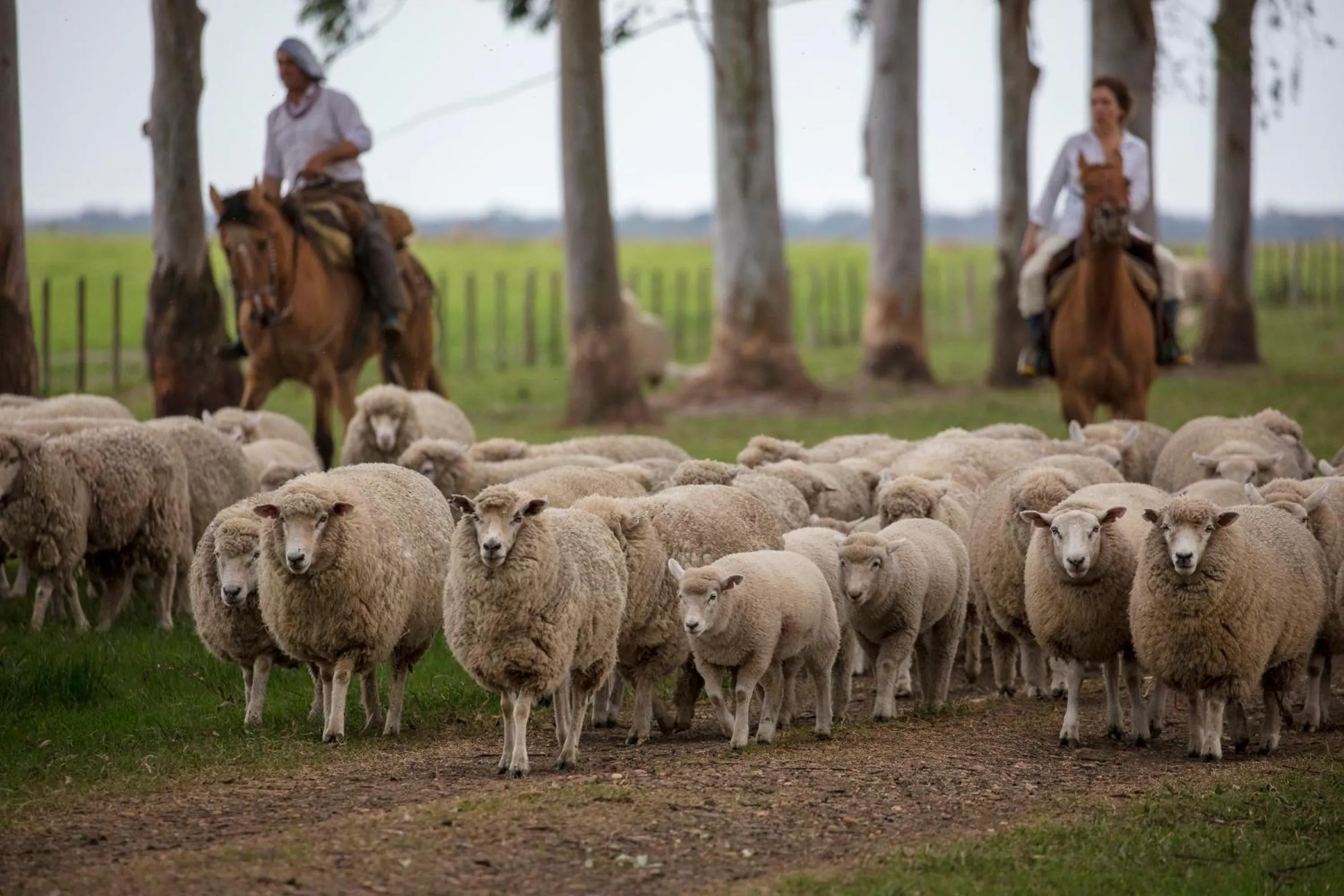 Activities in Estancia San Agustin