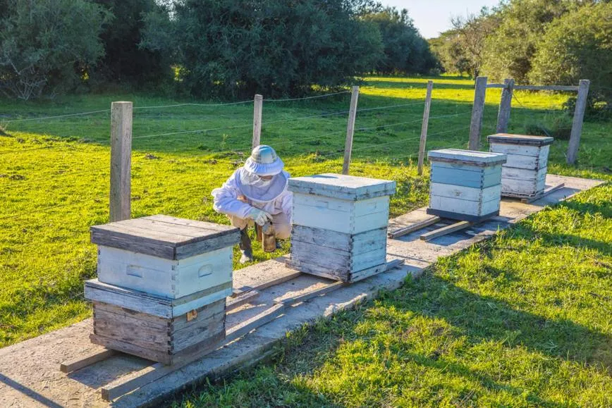 Day in Estancia San Agustin