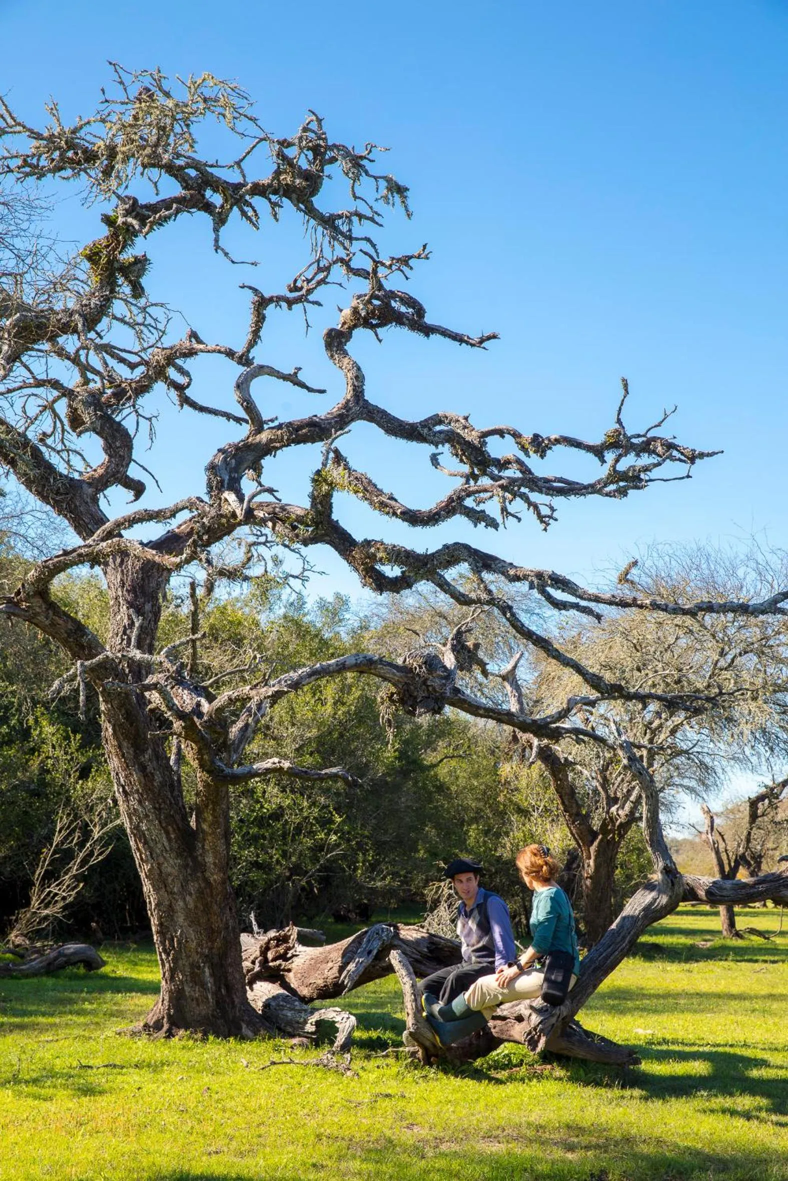 Estancia San Agustin