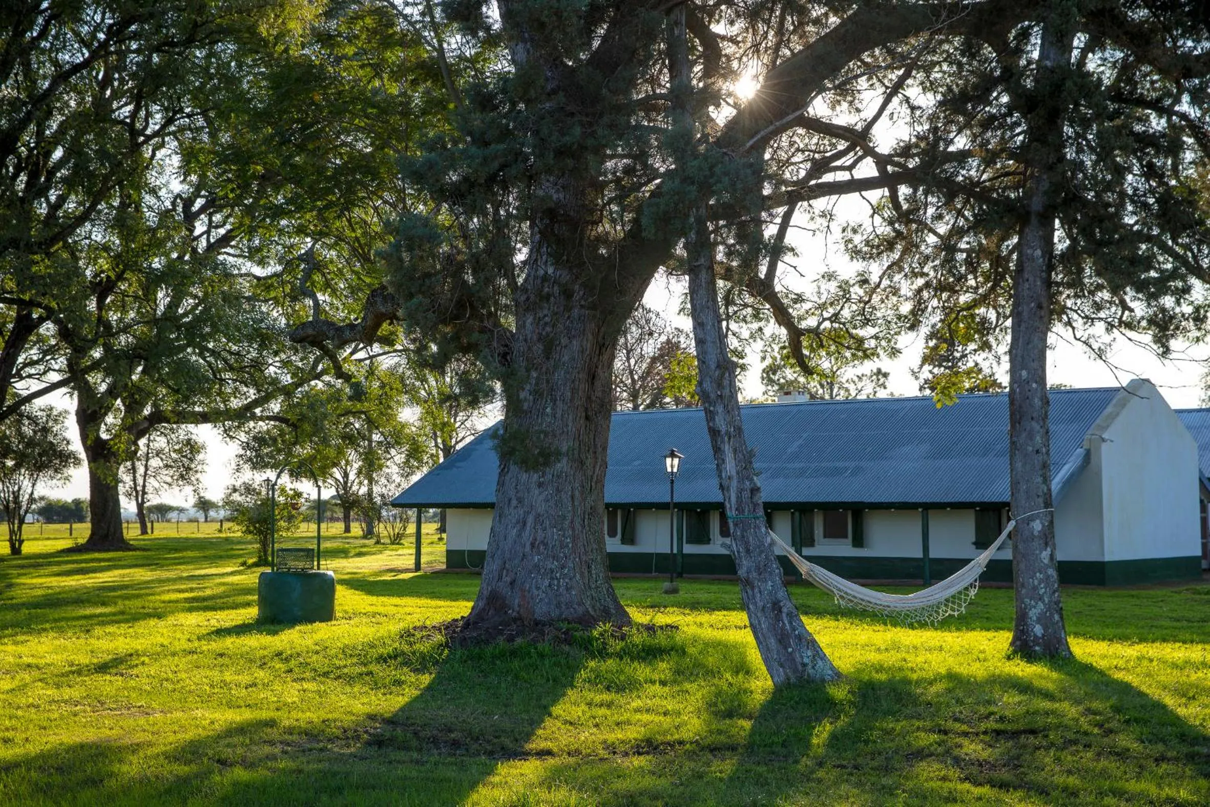 Garden in Estancia San Agustin