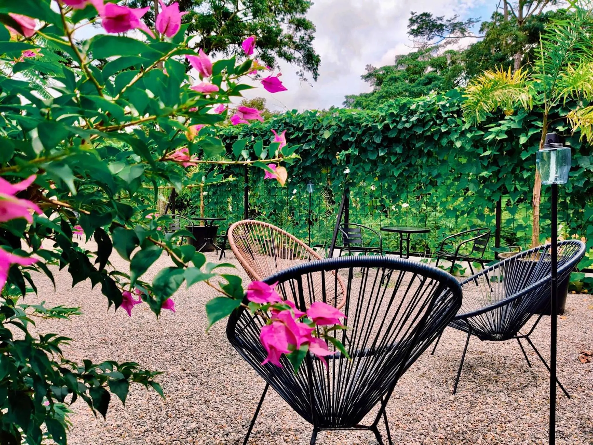 Garden in Vayu Retreat Villas