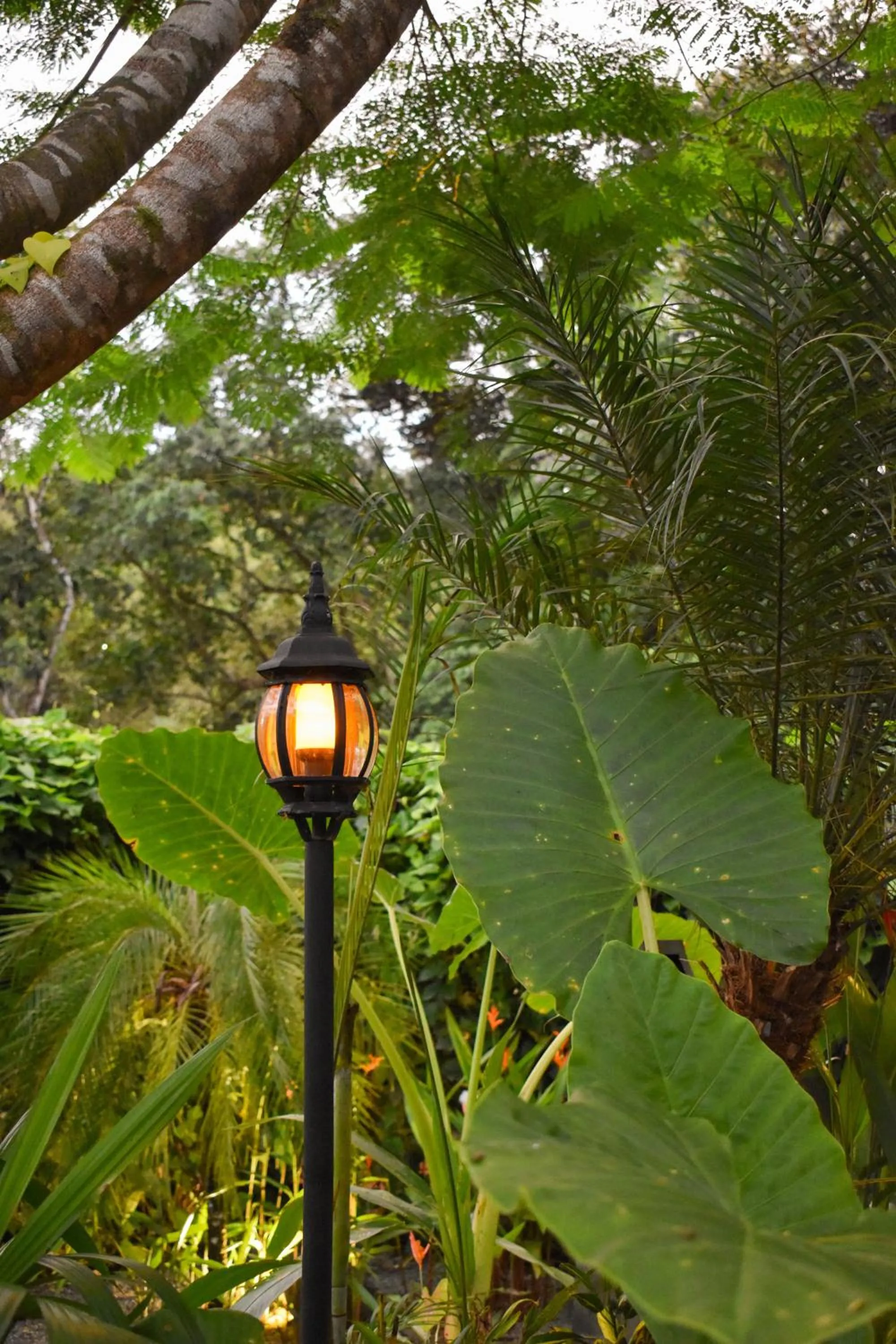 Garden in Vayu Retreat Villas