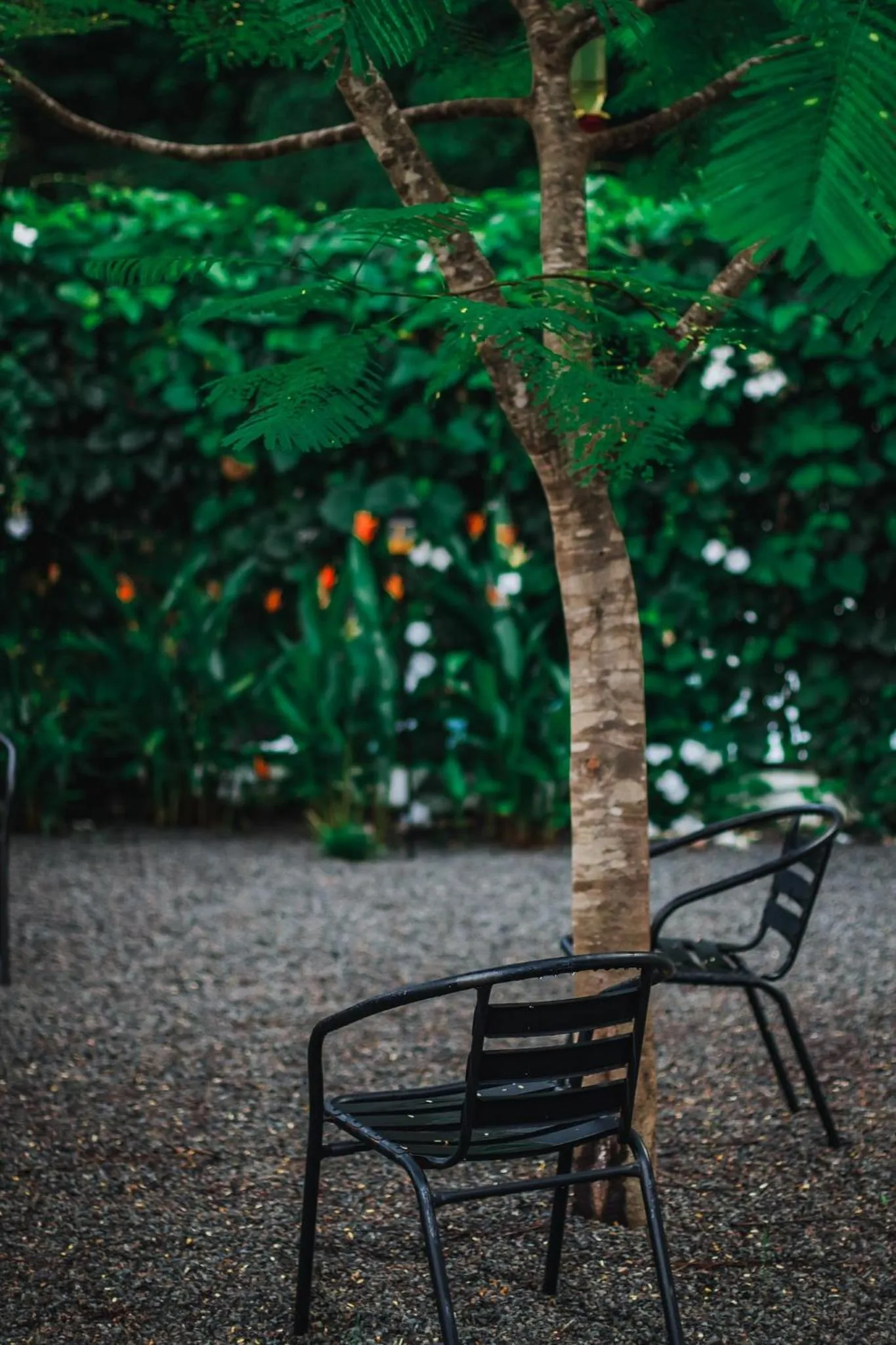 Day in Vayu Retreat Villas