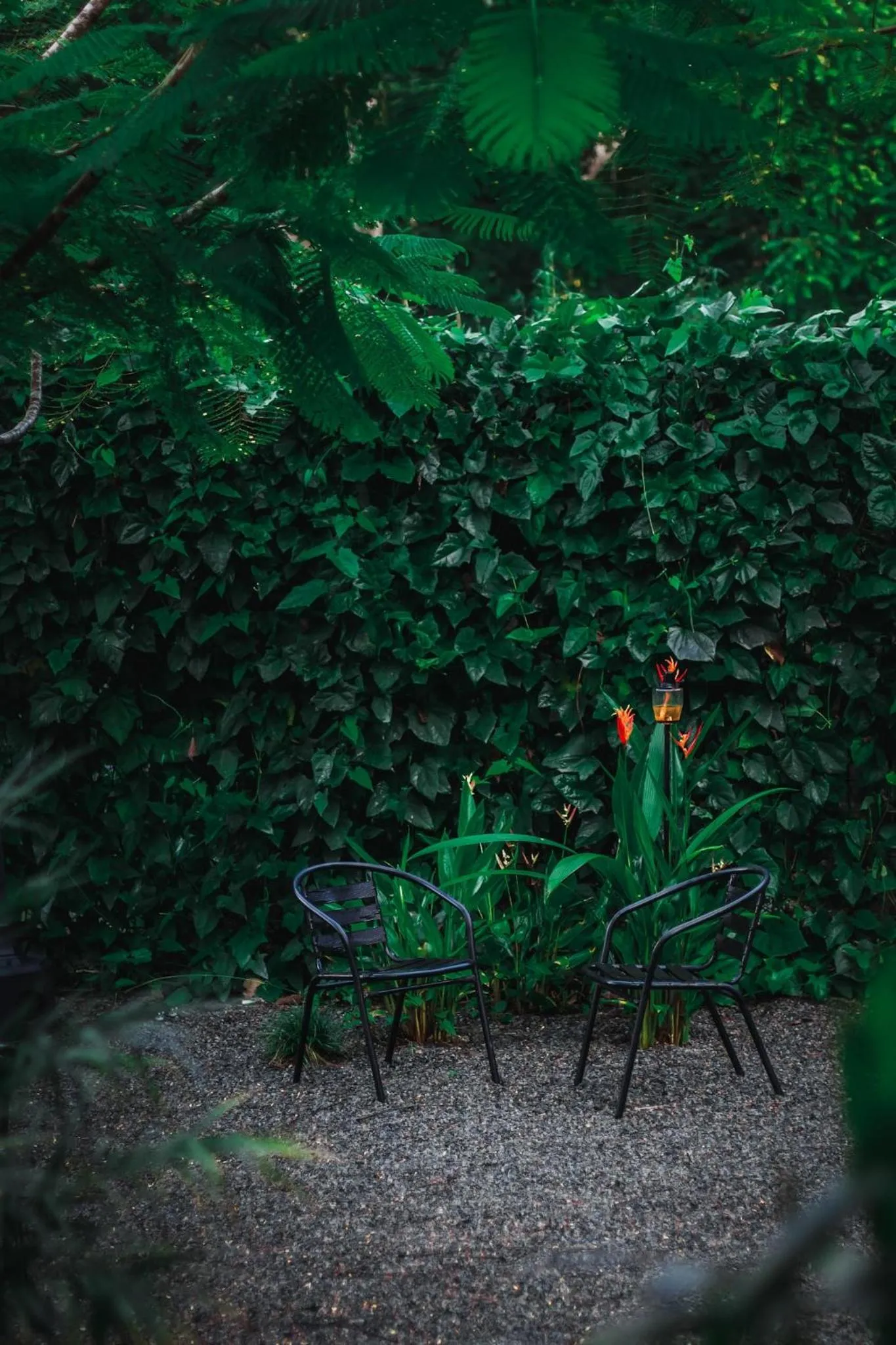 Day in Vayu Retreat Villas