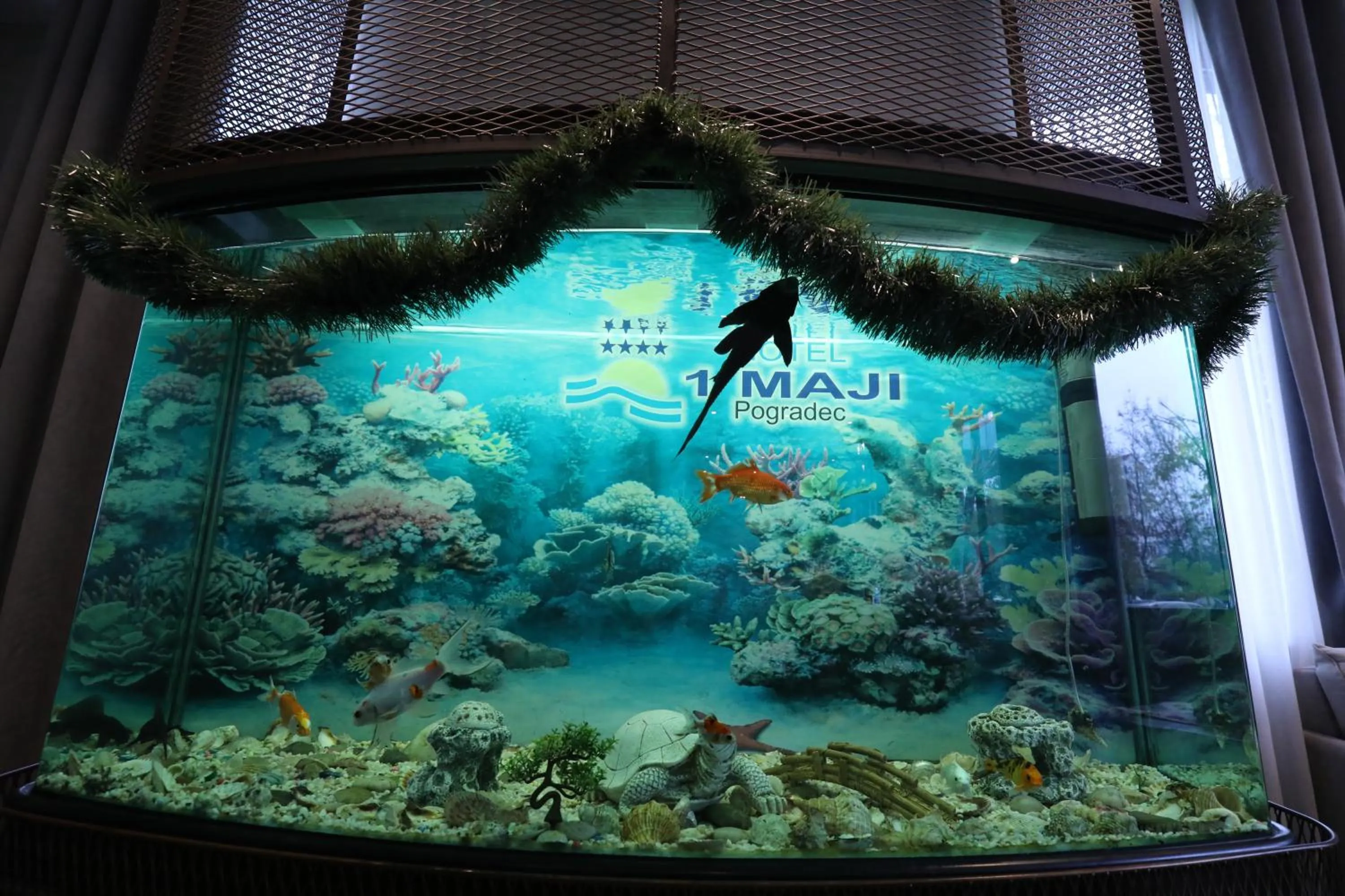 Other in Hotel 1 Maji