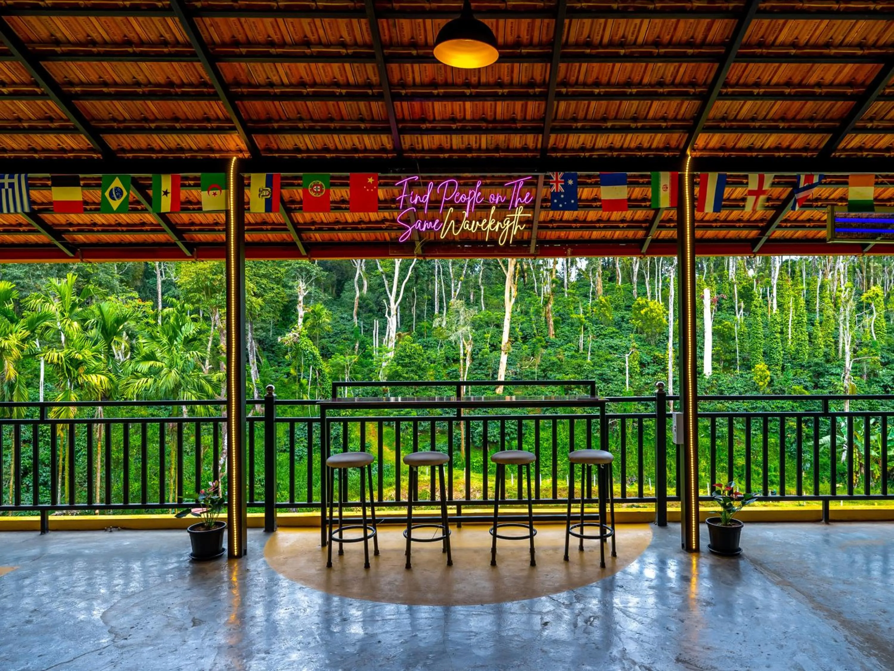 Day in The Hosteller Coorg Rainforest, Madikeri