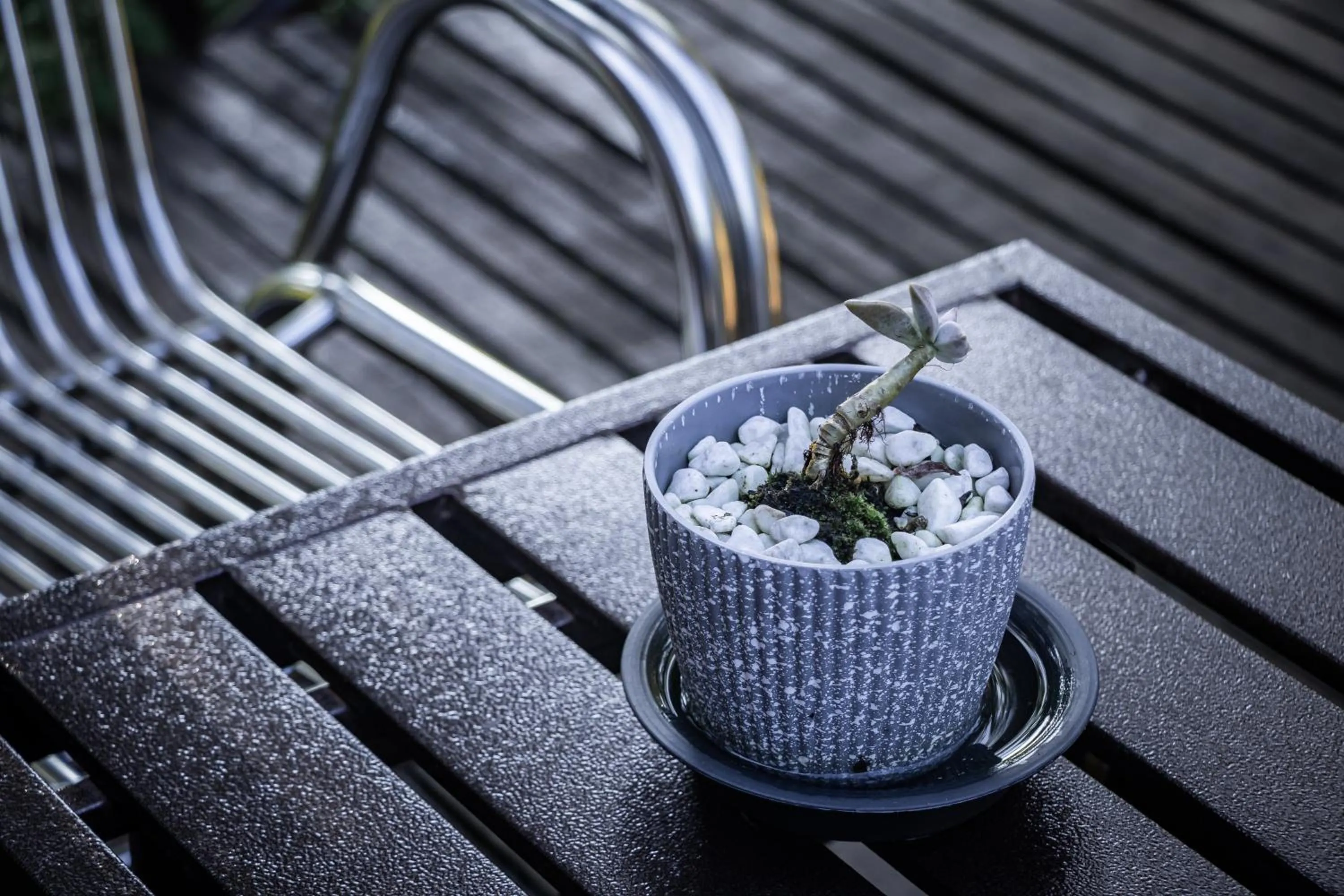 Garden view in Timba Garden FREE TOWN AND JETTY TRANSPORT